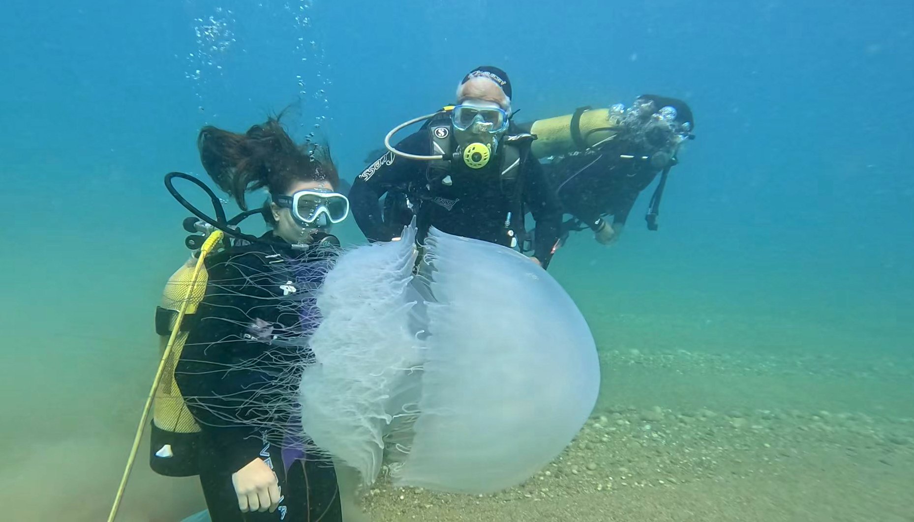 Antalya'da denizanaları kıyıya sürüklendi
