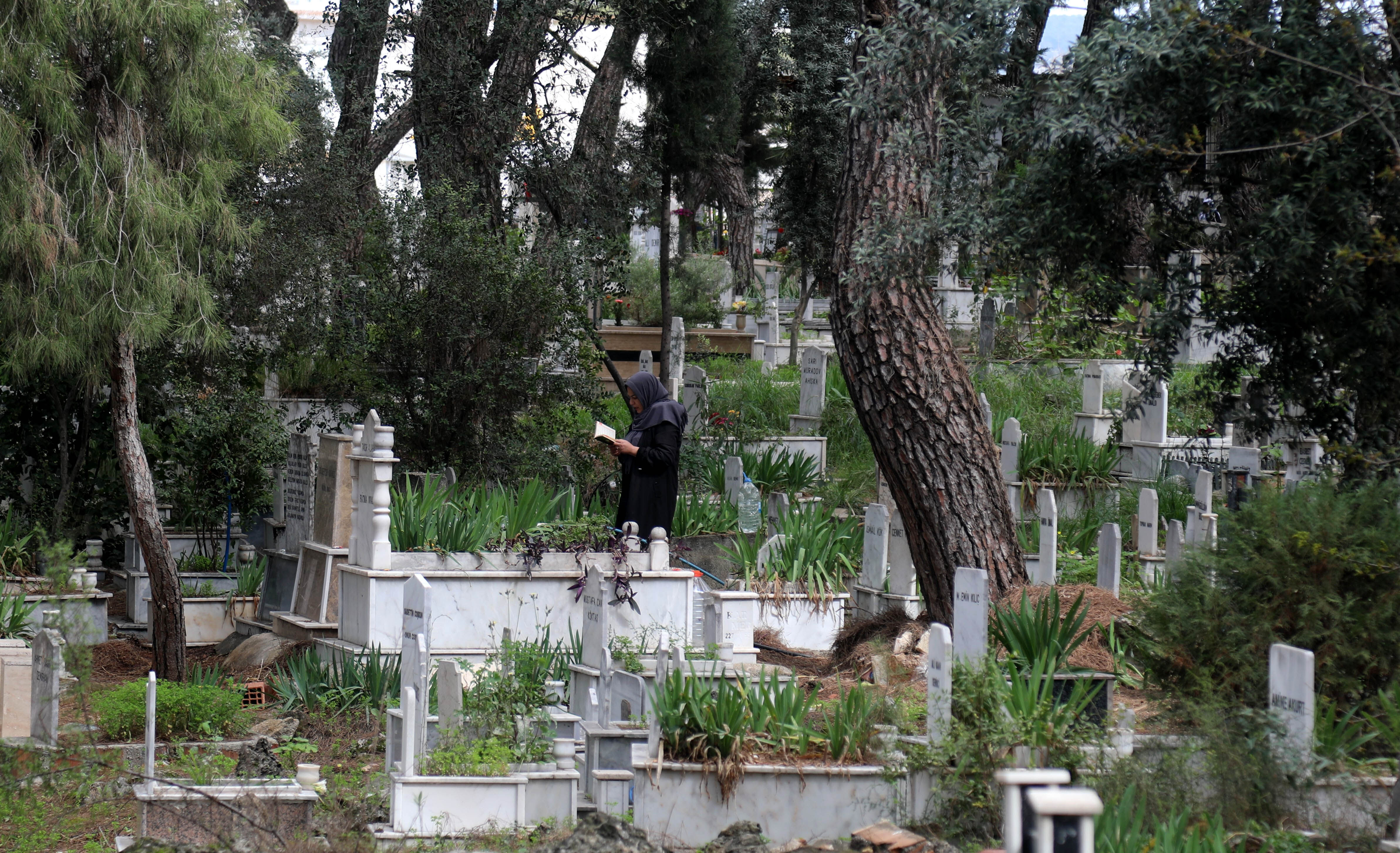 A R I F E G U N U M E Z A R L I K L A R A D U Y G U S A L Z I Y A R E T 1220193 362851