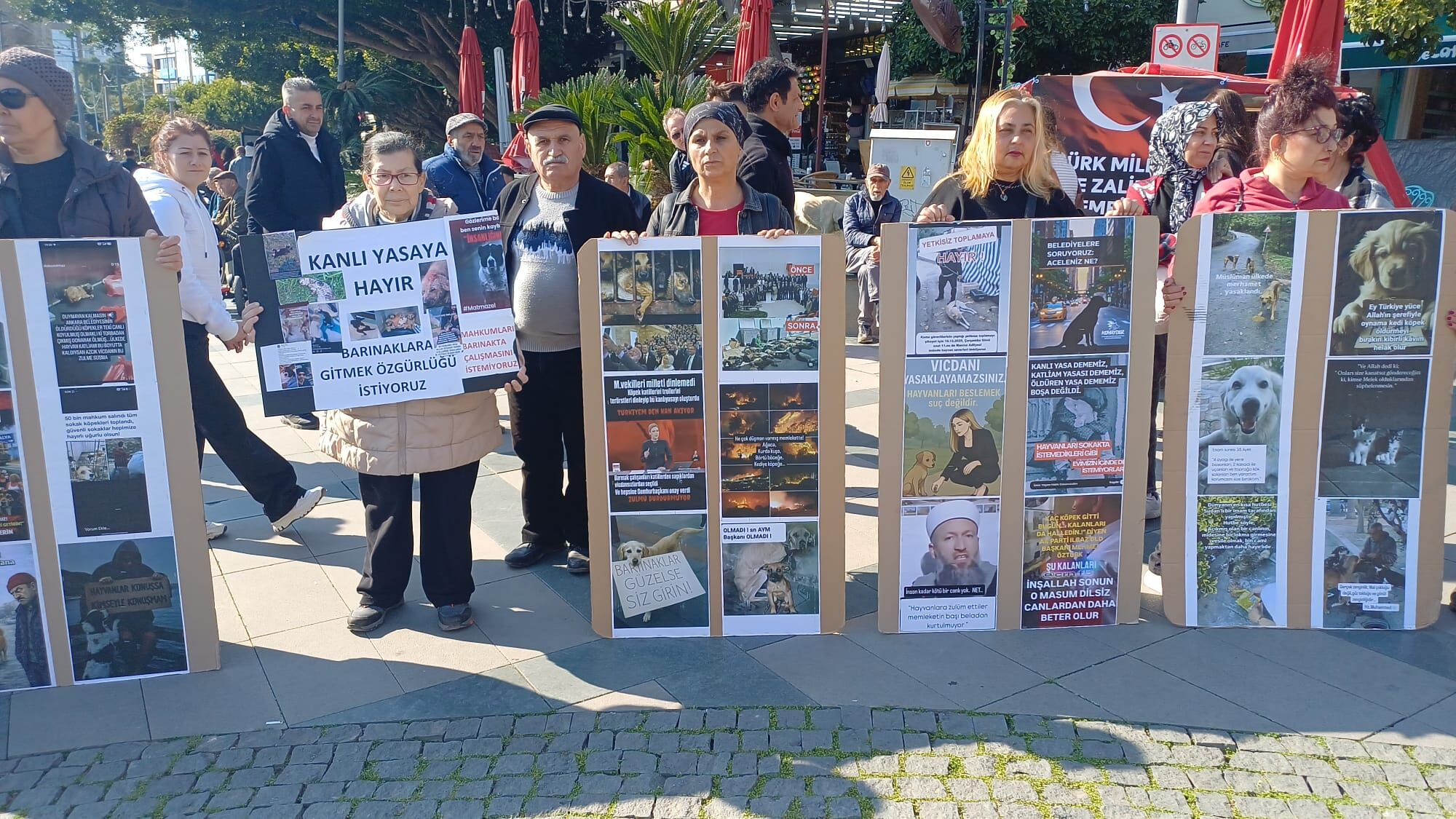 A696F21B 5393 4Dcd 8660 A34De181Cf78