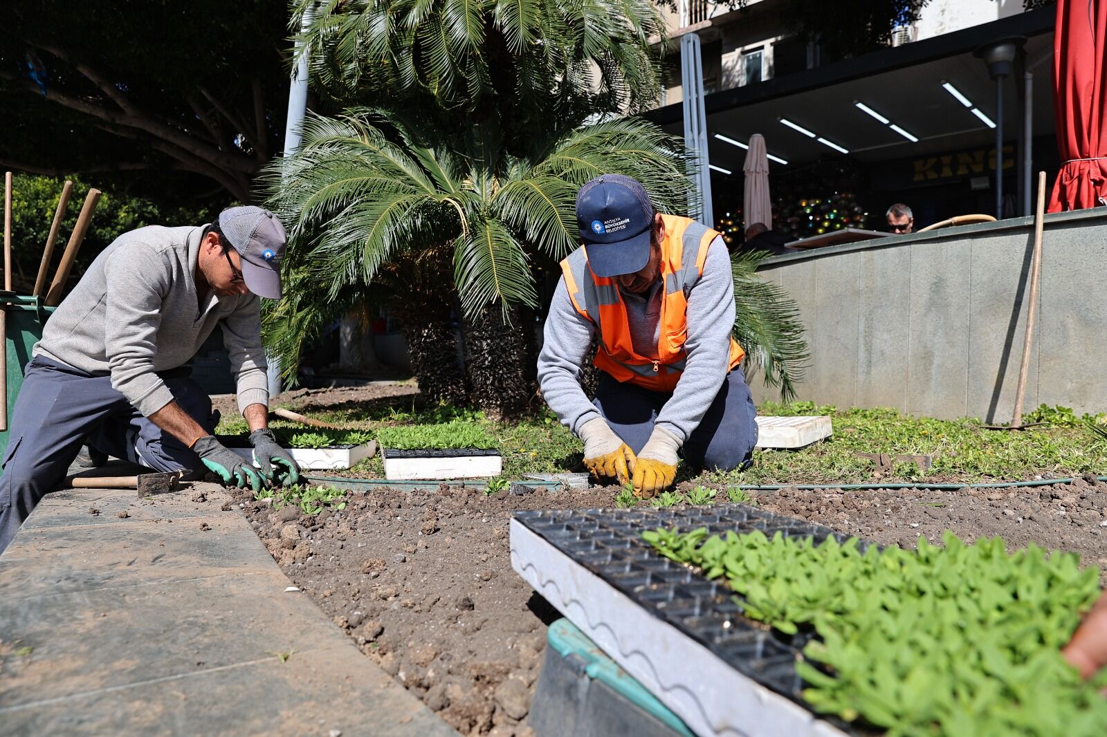 Antalya 4 Milyon Yazlık Çiçekle Bahara Hazırlanıyor (5)