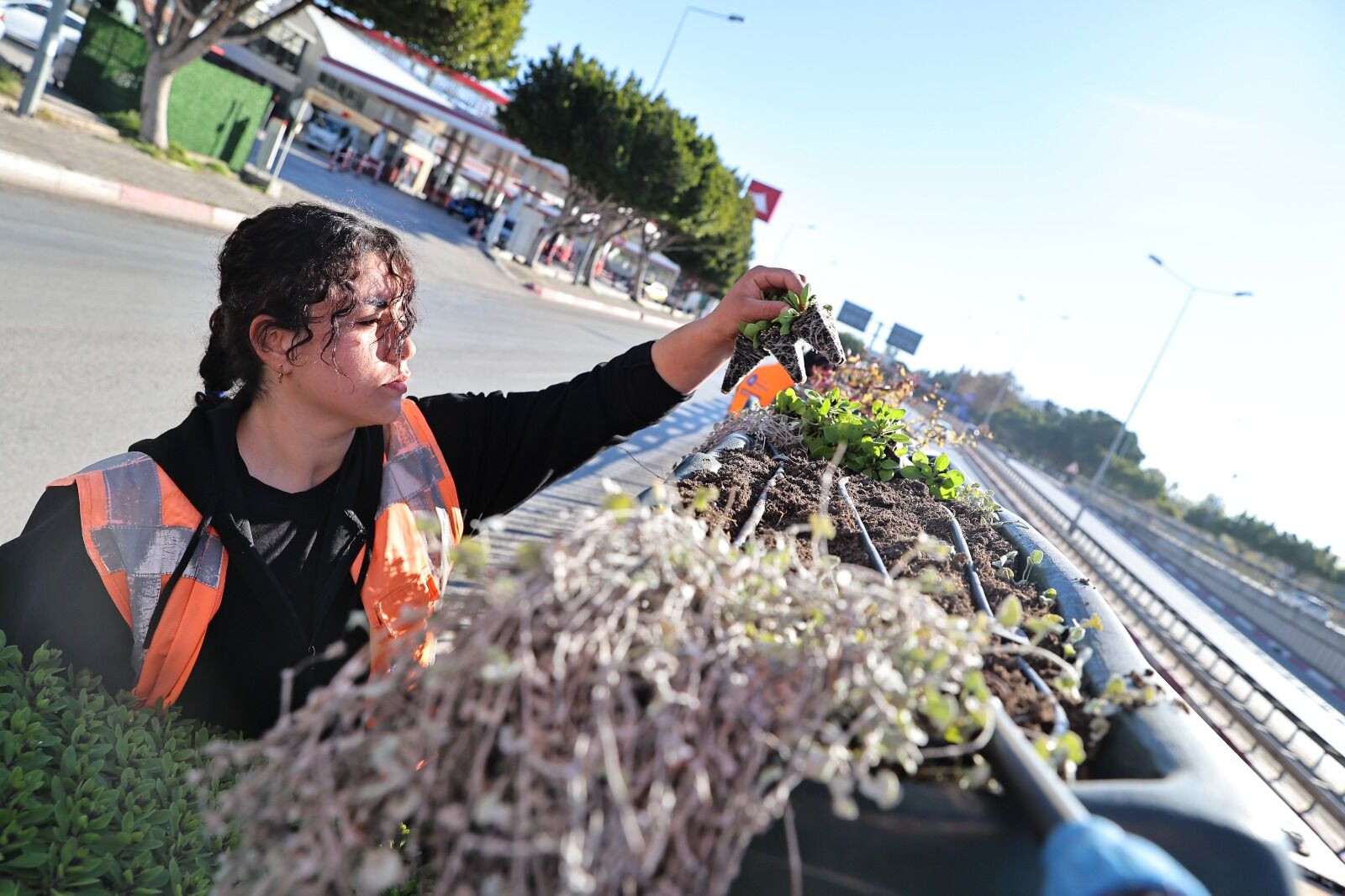 Antalya 4 Milyon Yazlık Çiçekle Bahara Hazırlanıyor (8)