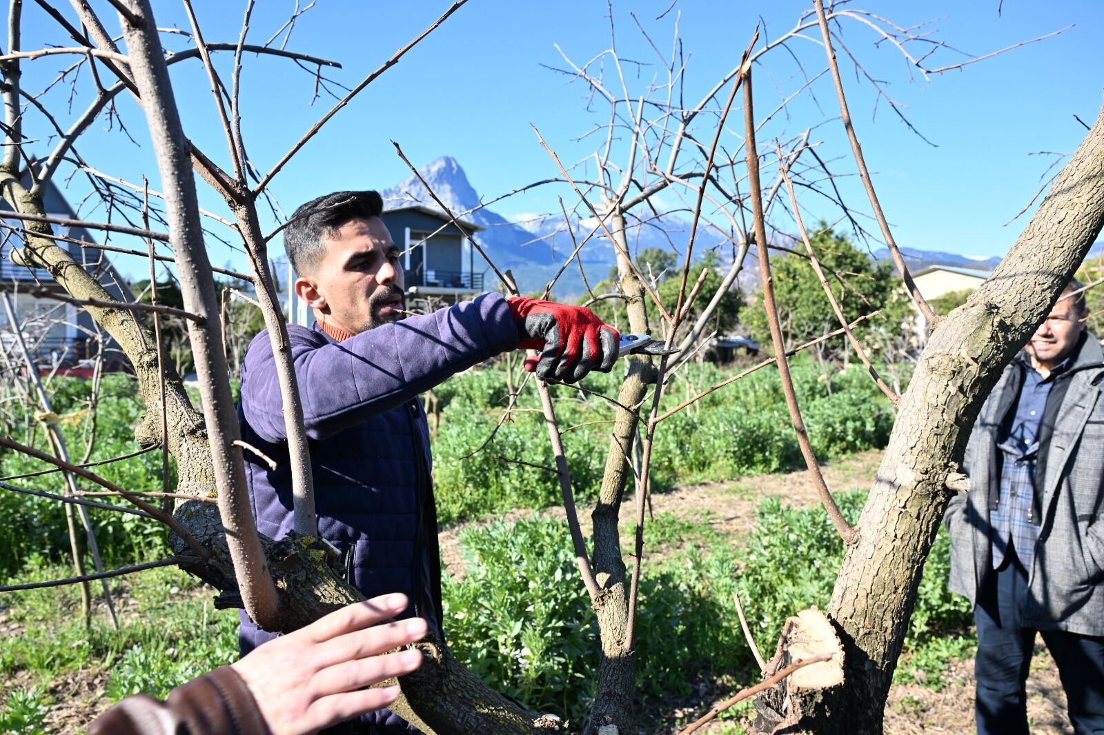 Atasem’de Uygulamalı Ağaç Budama Eğitimi (5)