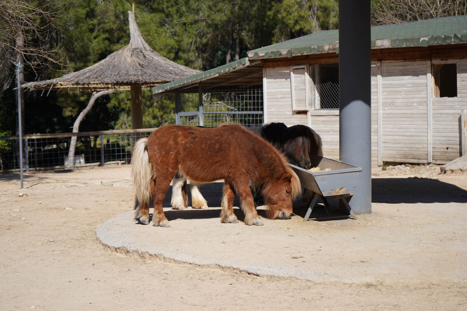 B A Y R A M D A D O G A N M I D I L L I S E K E R 1 Y A S I N A 1217768 362118