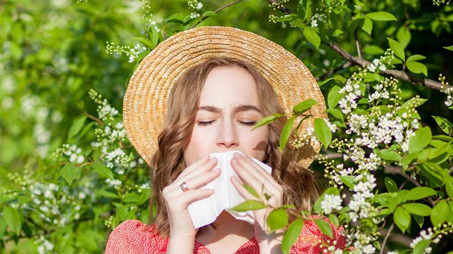 Bahar Mevsimi Alerjisi 1