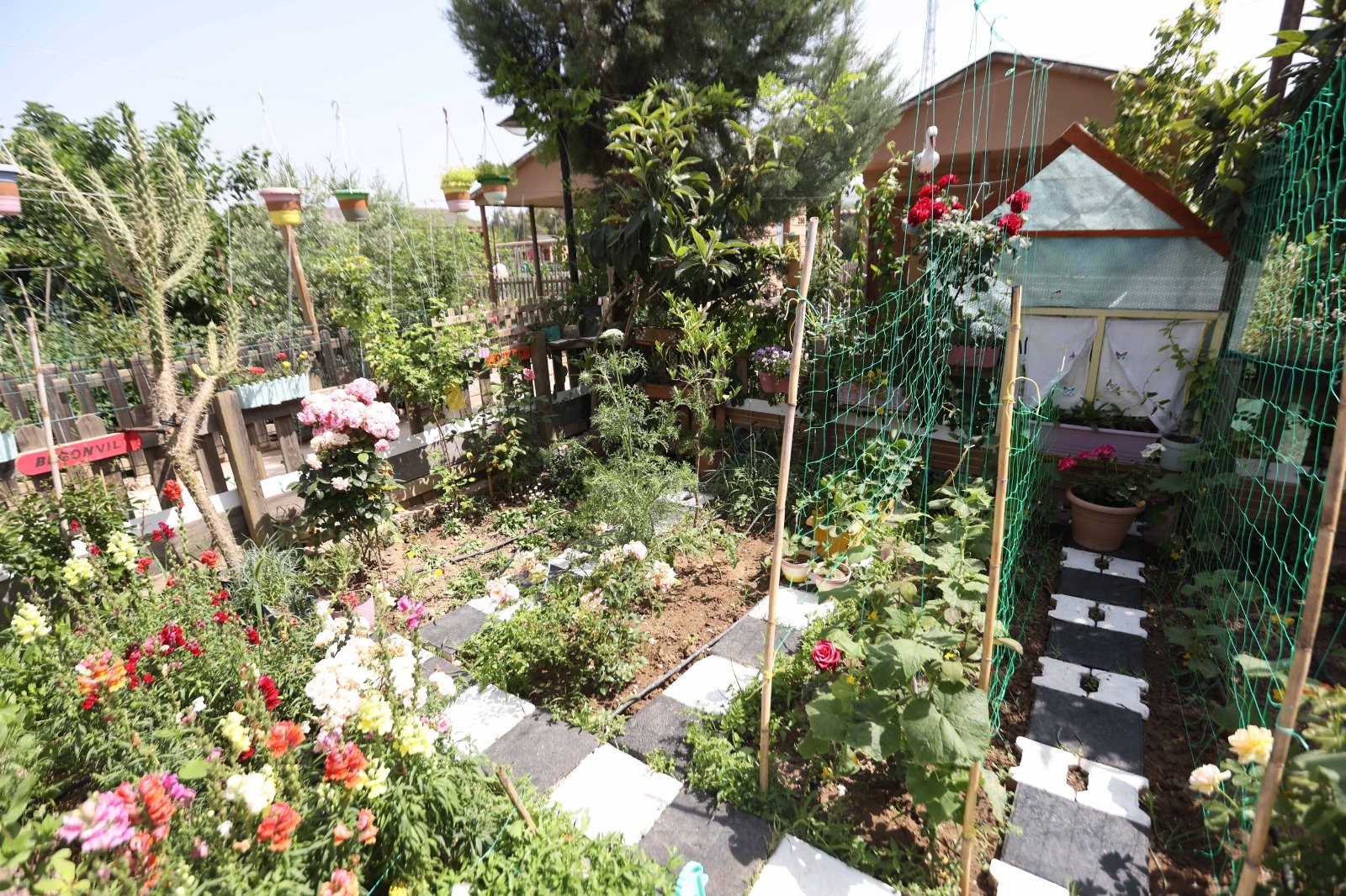 D A H A Y E S I L A N T A L Y A I C I N O D U L L U Y A R I S M A 1234329 367075