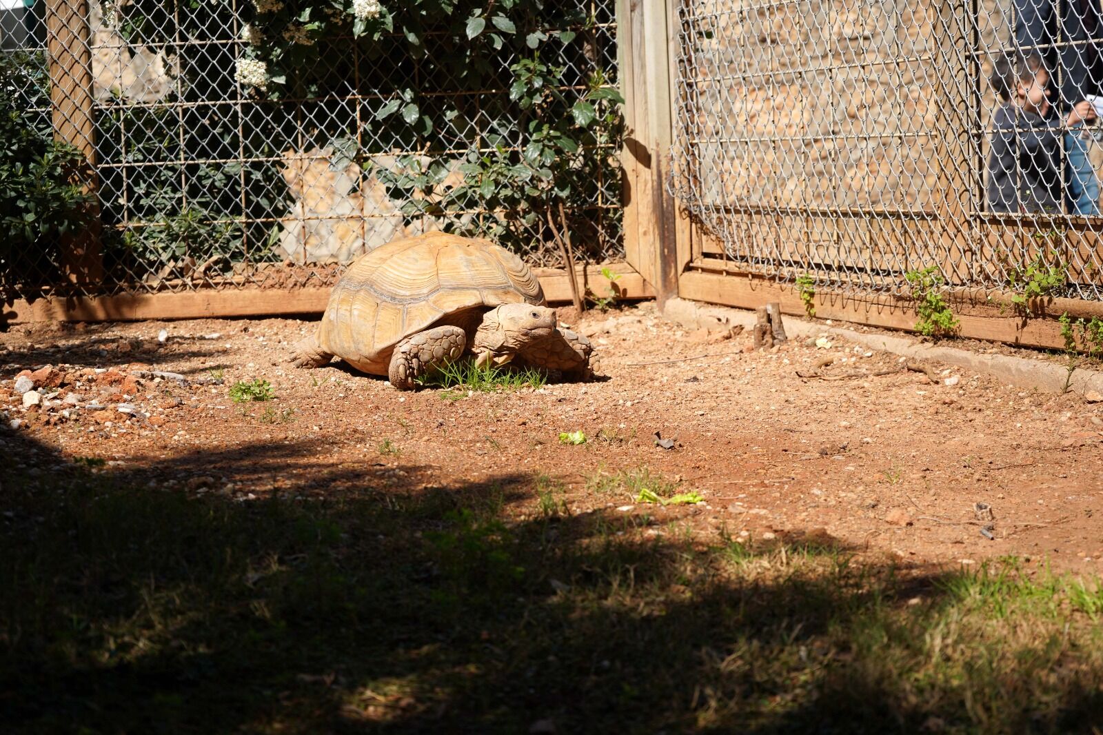 D O G A L Y A S A M P A R K I N I N E N Y A S L I U Y E S I N E 1222772 363585