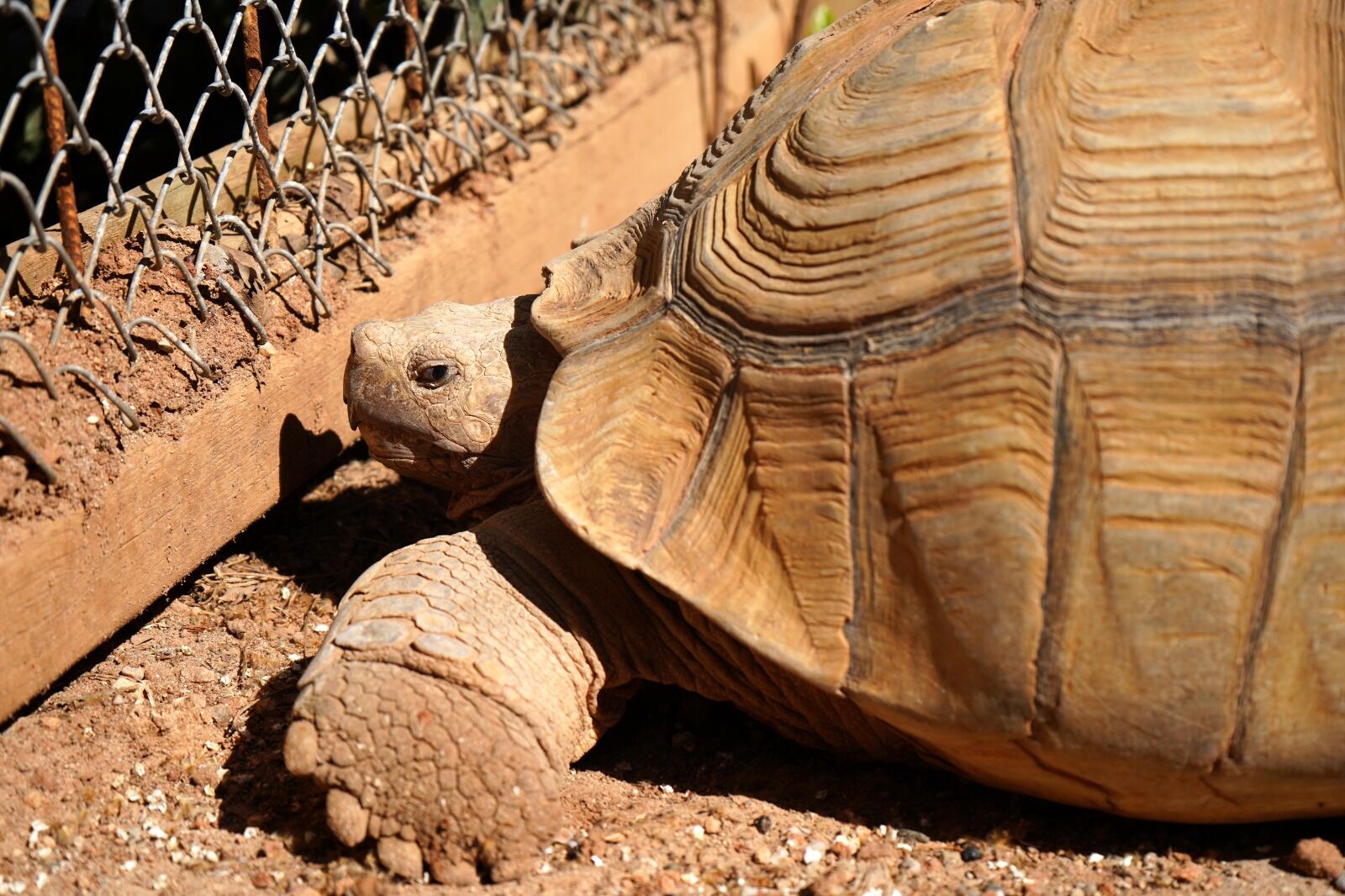 D O G A L Y A S A M P A R K I N I N E N Y A S L I U Y E S I N E 1222774 363585