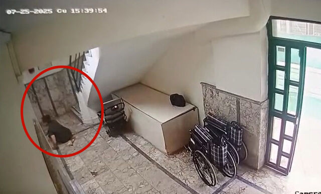 D U S M E D I D E N I L E N O T I Z M L I M E H M E T I N M E R 1213356 360802