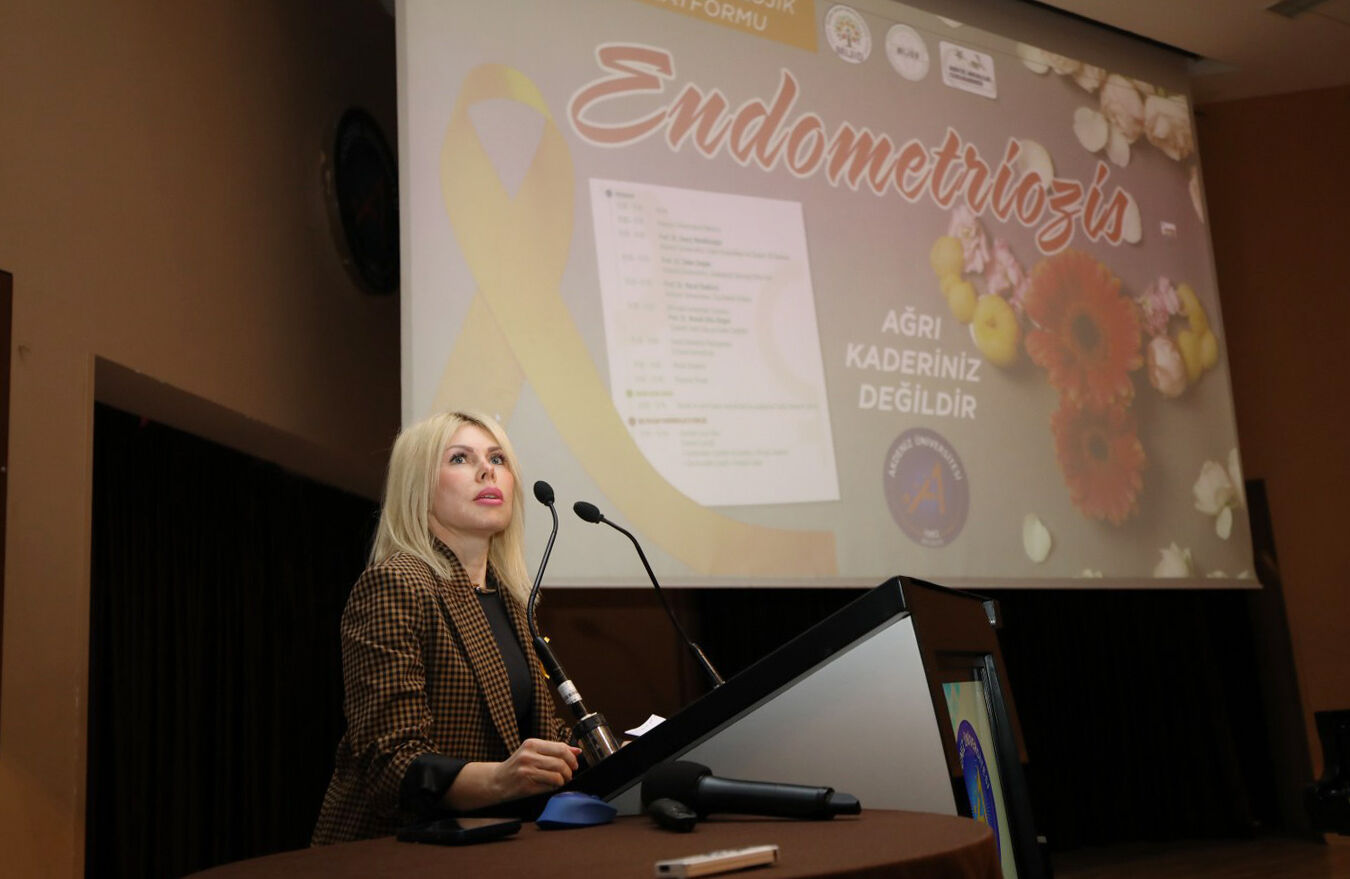 E N D O M E T R I O Z I S F A R K I N D A L I K A Y I E T K I N L I G I 1198781 356496