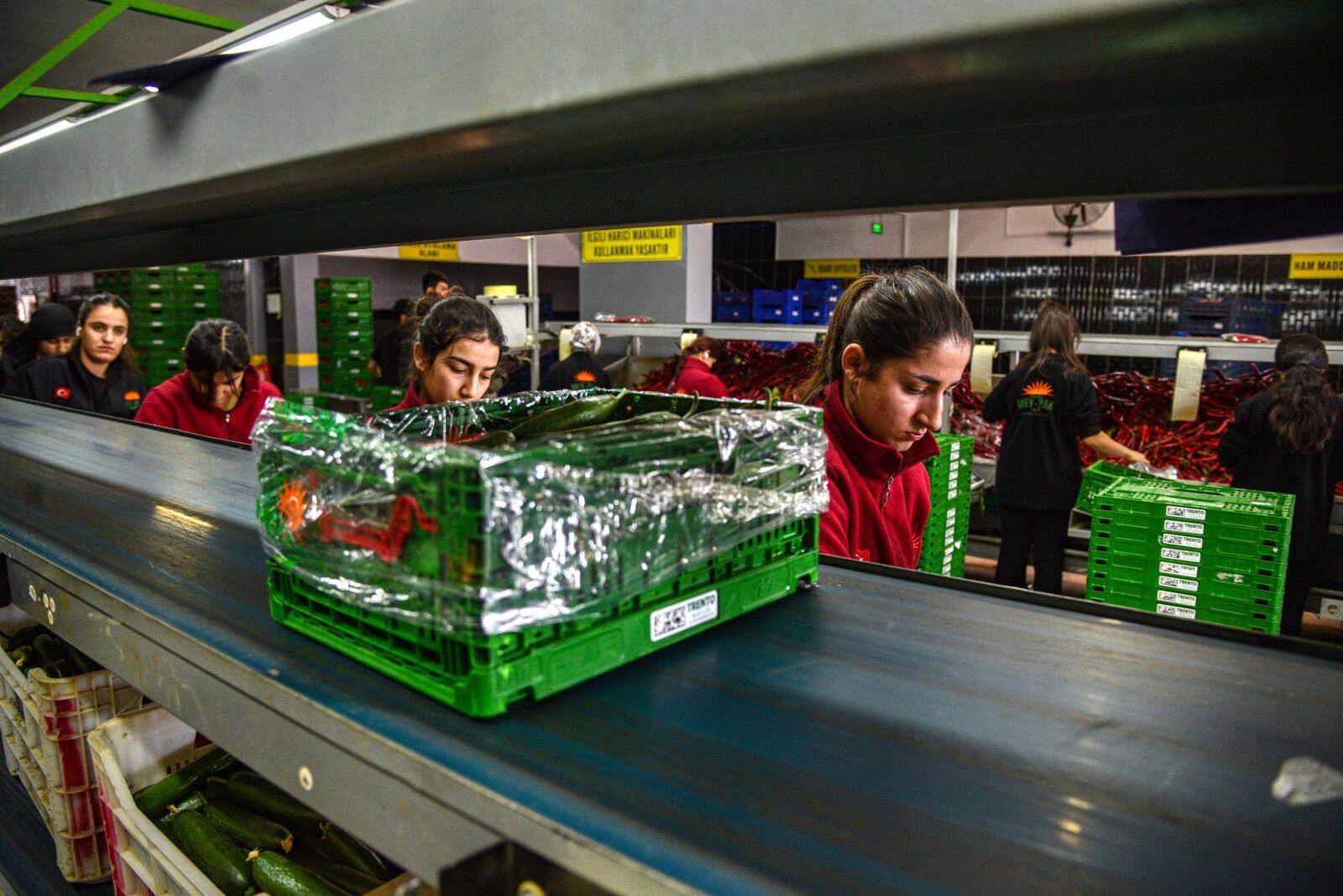 I R A N S A V A S I S O N R A S I T U R K I Y E D E N R U S Y A Y A 1214558 361162