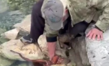 Görenler gözlerine inanamadı