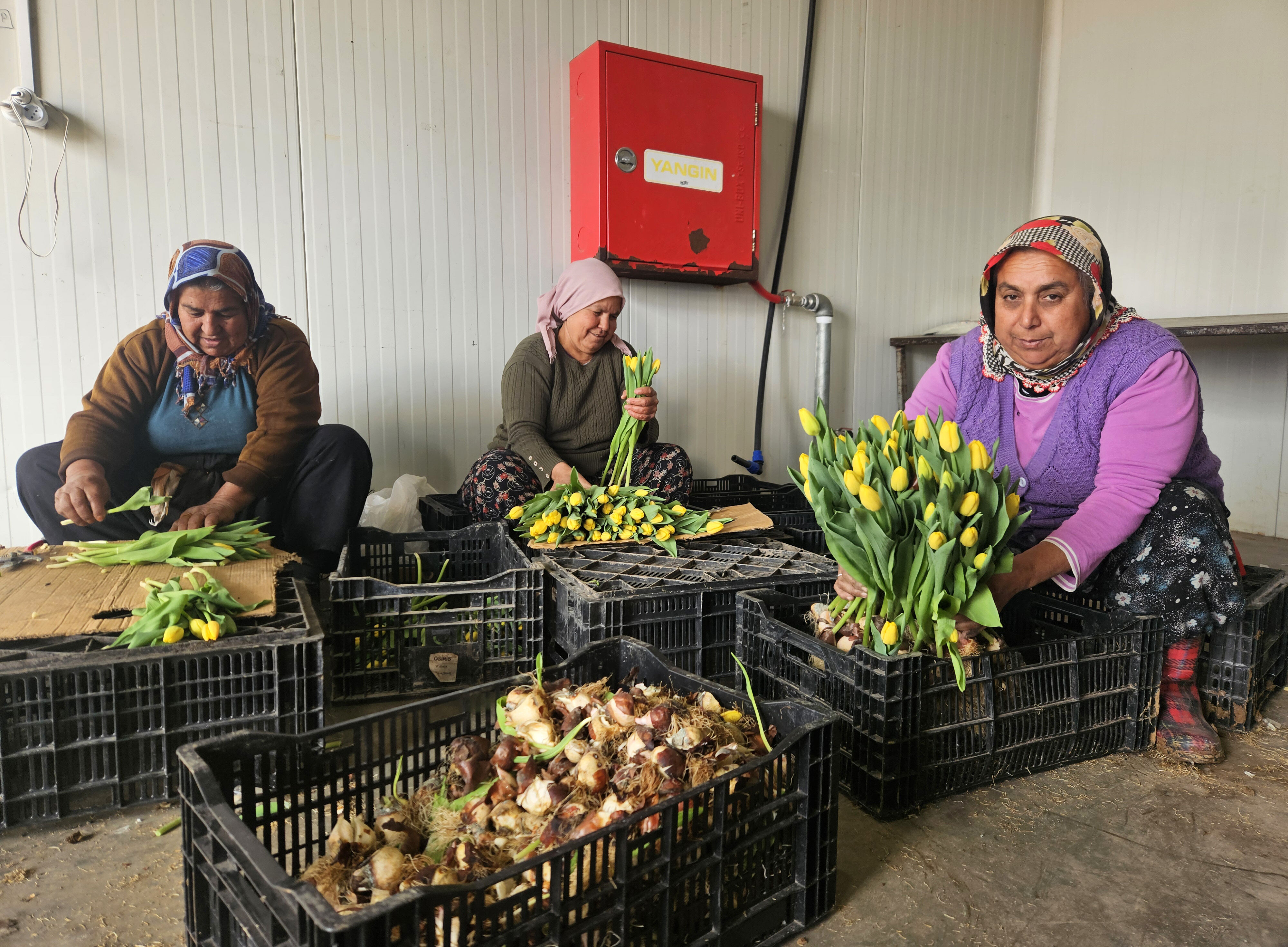 K A D I N L A R G U N U N E O Z E L S U D A L A L E U R E T I M I 1192354 354368