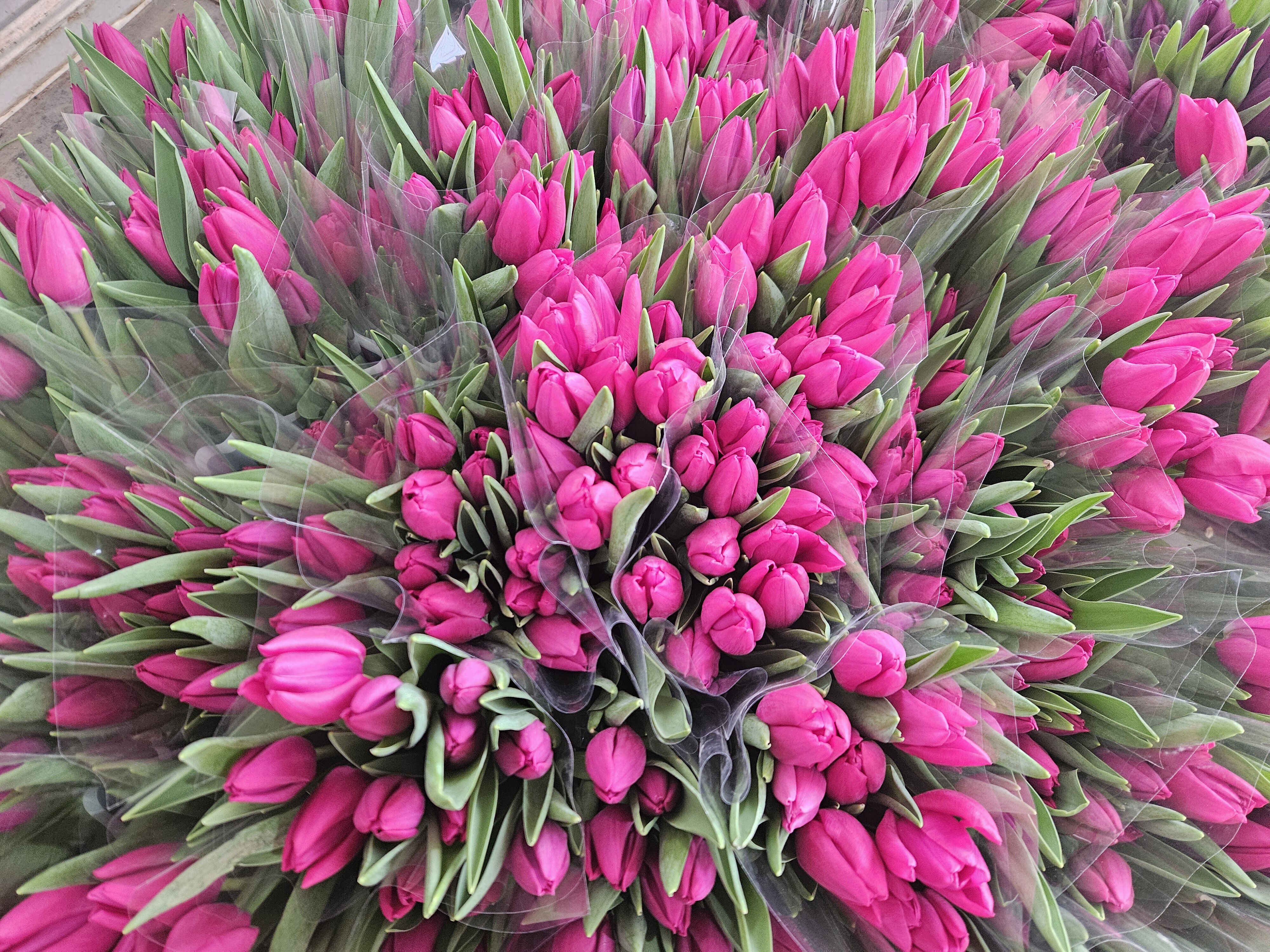 K A D I N L A R G U N U N E O Z E L S U D A L A L E U R E T I M I 1192357 354368