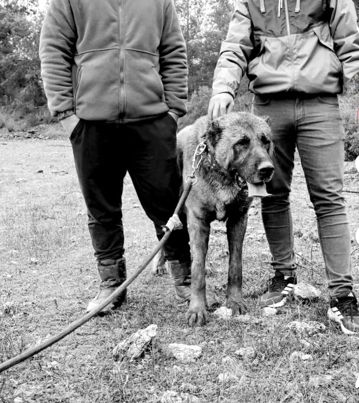 K U L A K L A R I K E S I L E N Y A V R U K O P E K L E R I N 30 40 1210219 359902