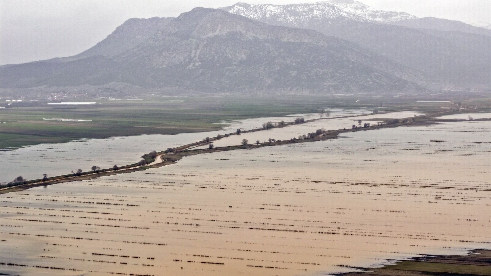 K U R U T U L A N A N T I K G O L S O N Y A G I S L A R L A H A 1196577 355816