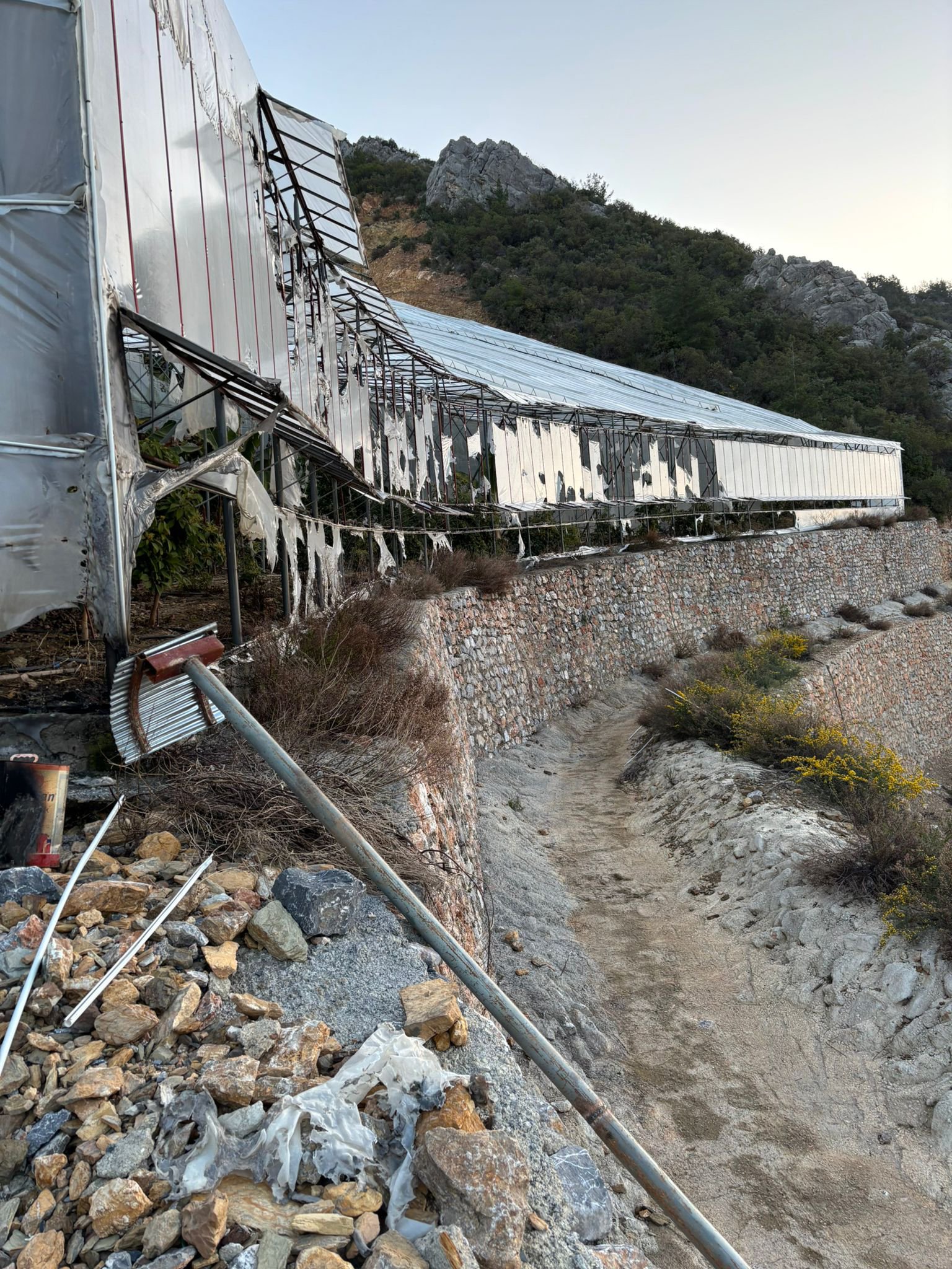 M U Z S E R A S I N I N K U N D A K L A N M A S I N A 3 T U T U K L A M 1228416 365392