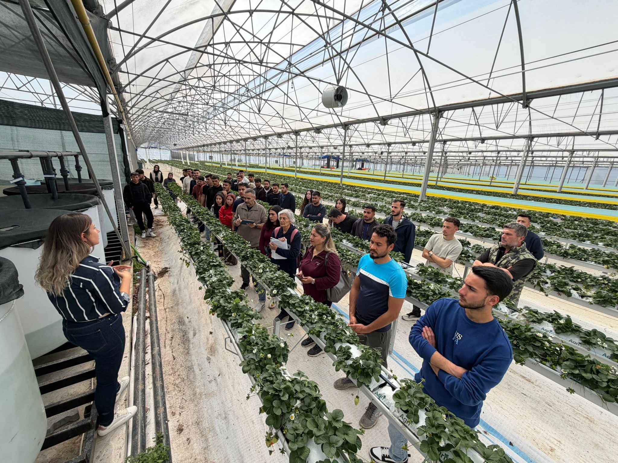 Öğrenciler topraksız tarım tesisini gezdi