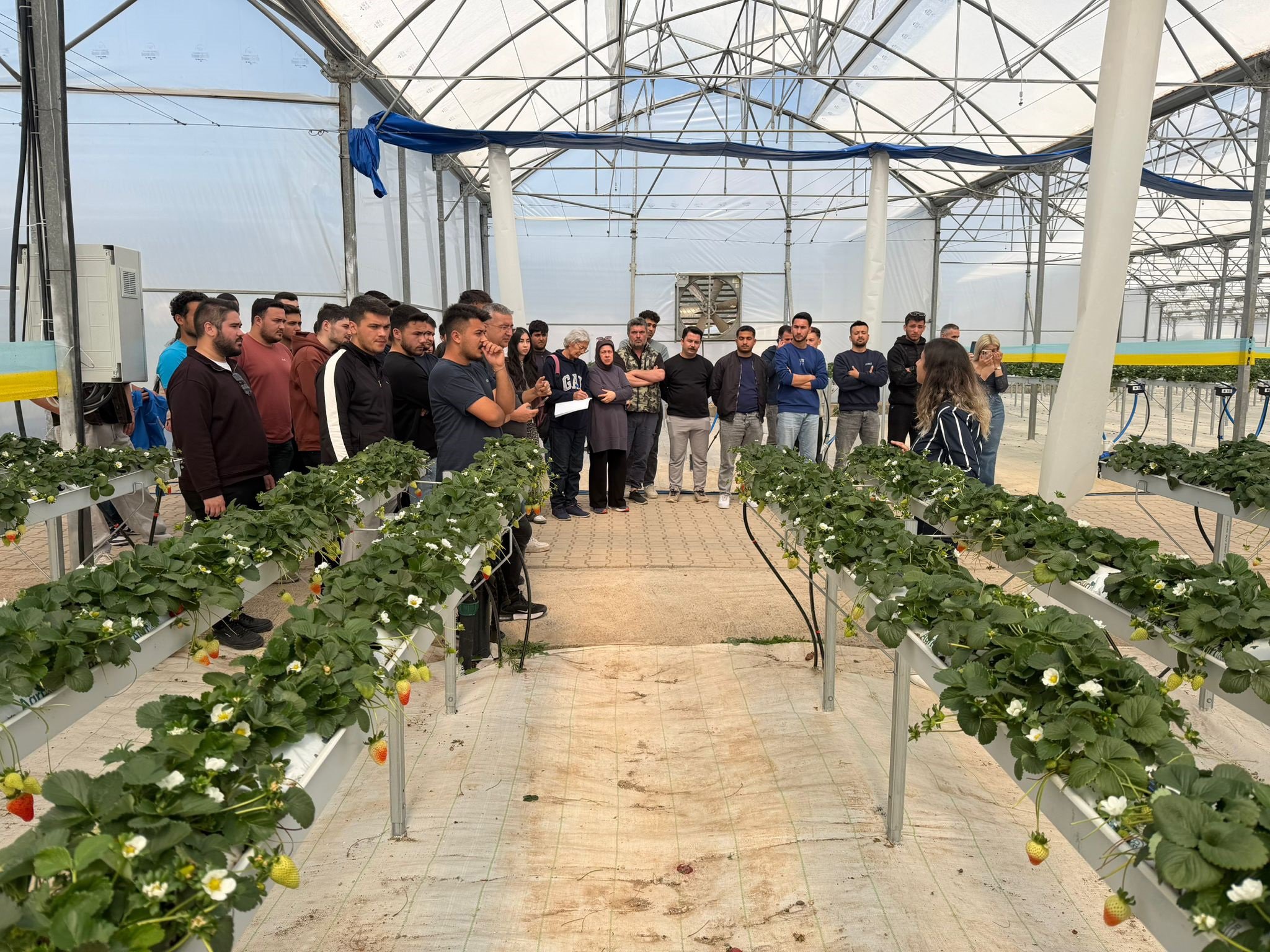 O G R E N C I L E R T O P R A K S I Z T A R I M T E S I S I N I G E Z D 1230502 366014