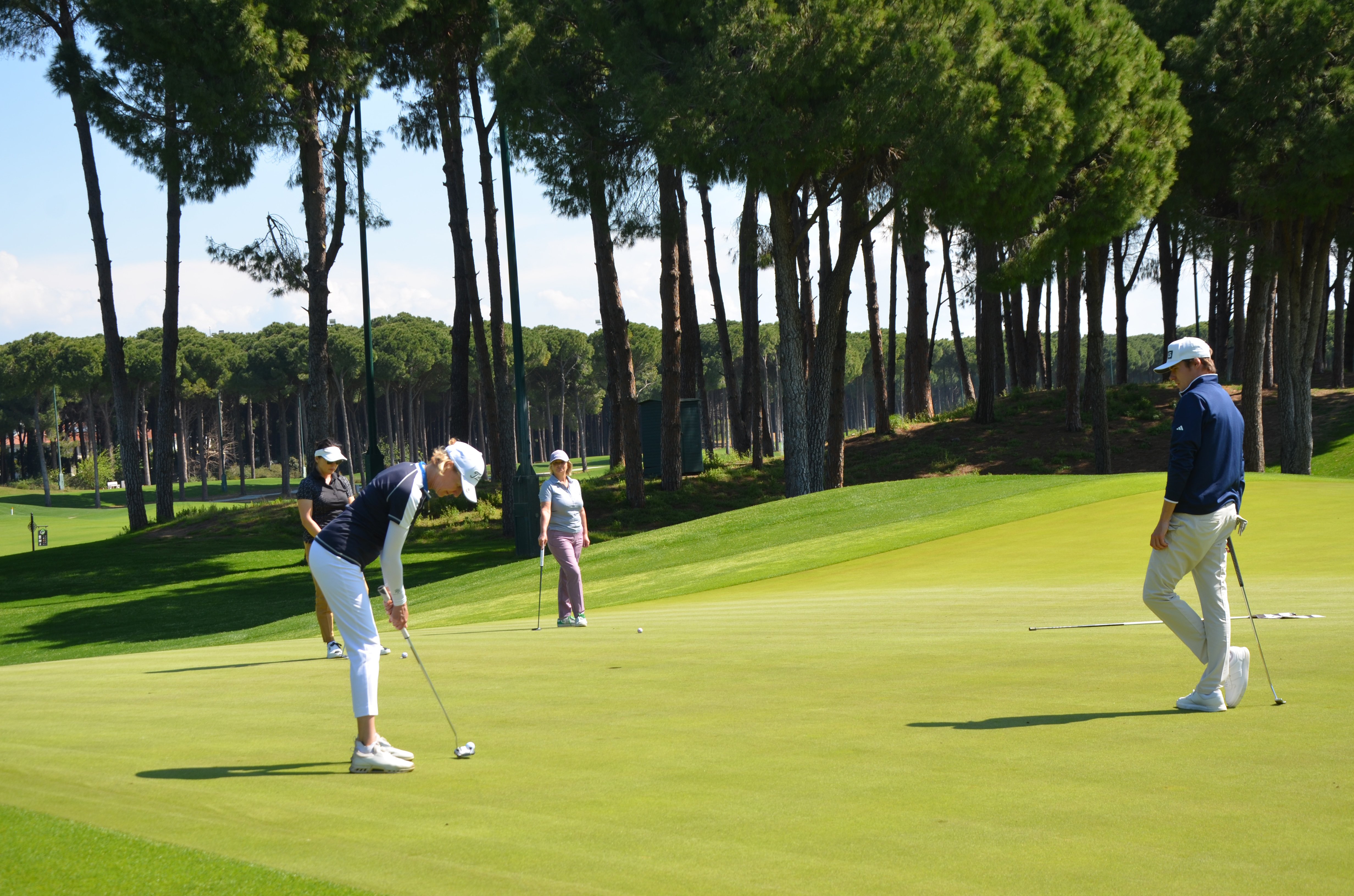 R E G N U M P R O A M G O L F T U R N U V A S I B A S L A D I 1229956 365844