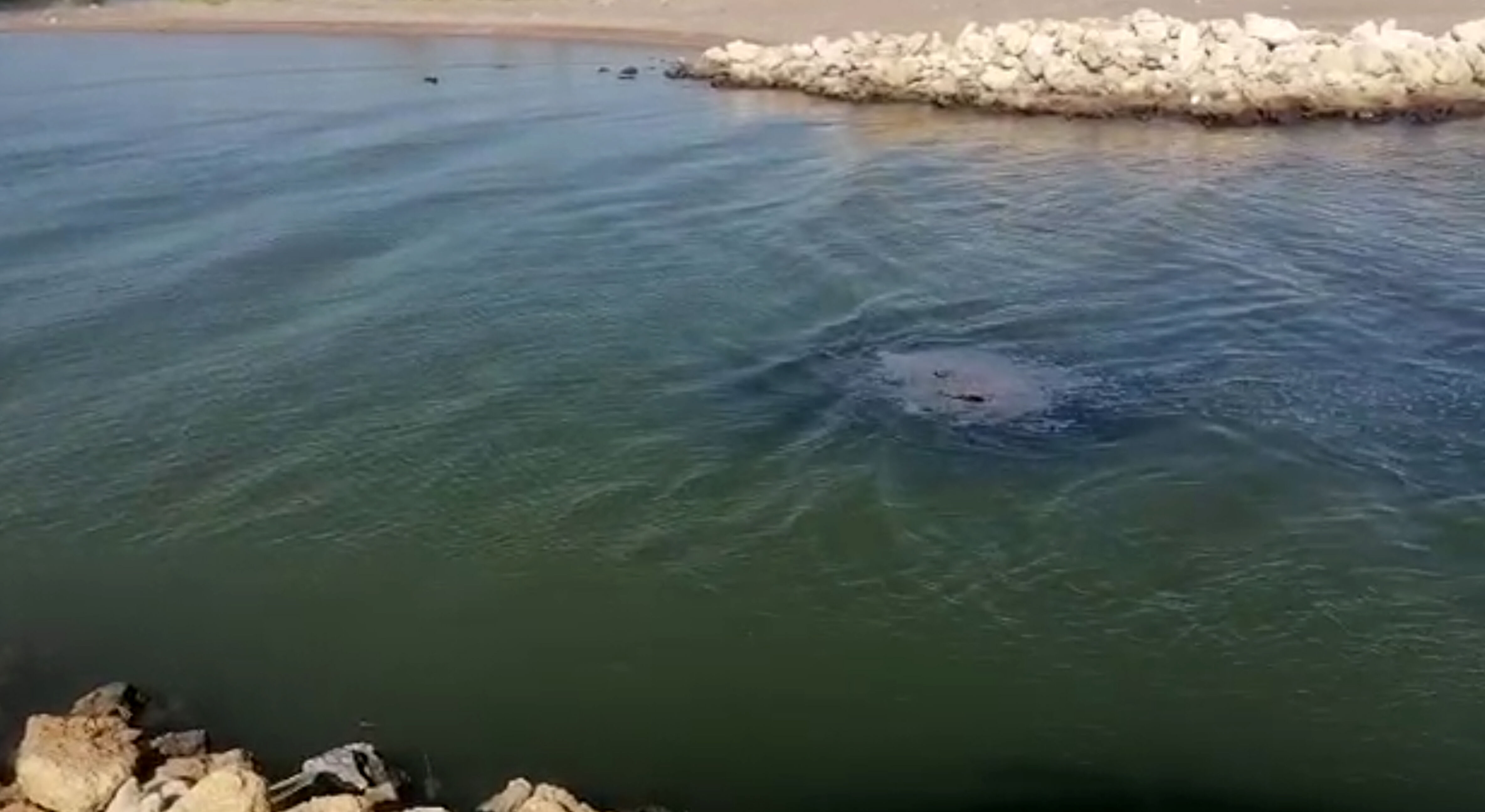 S A H I L K O N D U V E B A R A K A L A R A Y I K I M S U R E C I 1226247 364665