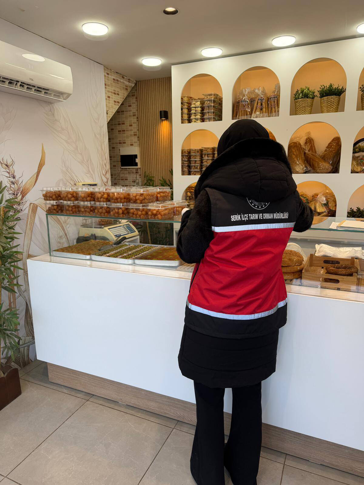 S E R I K T E G I D A D E N E T I M L E R I 1195497 355447