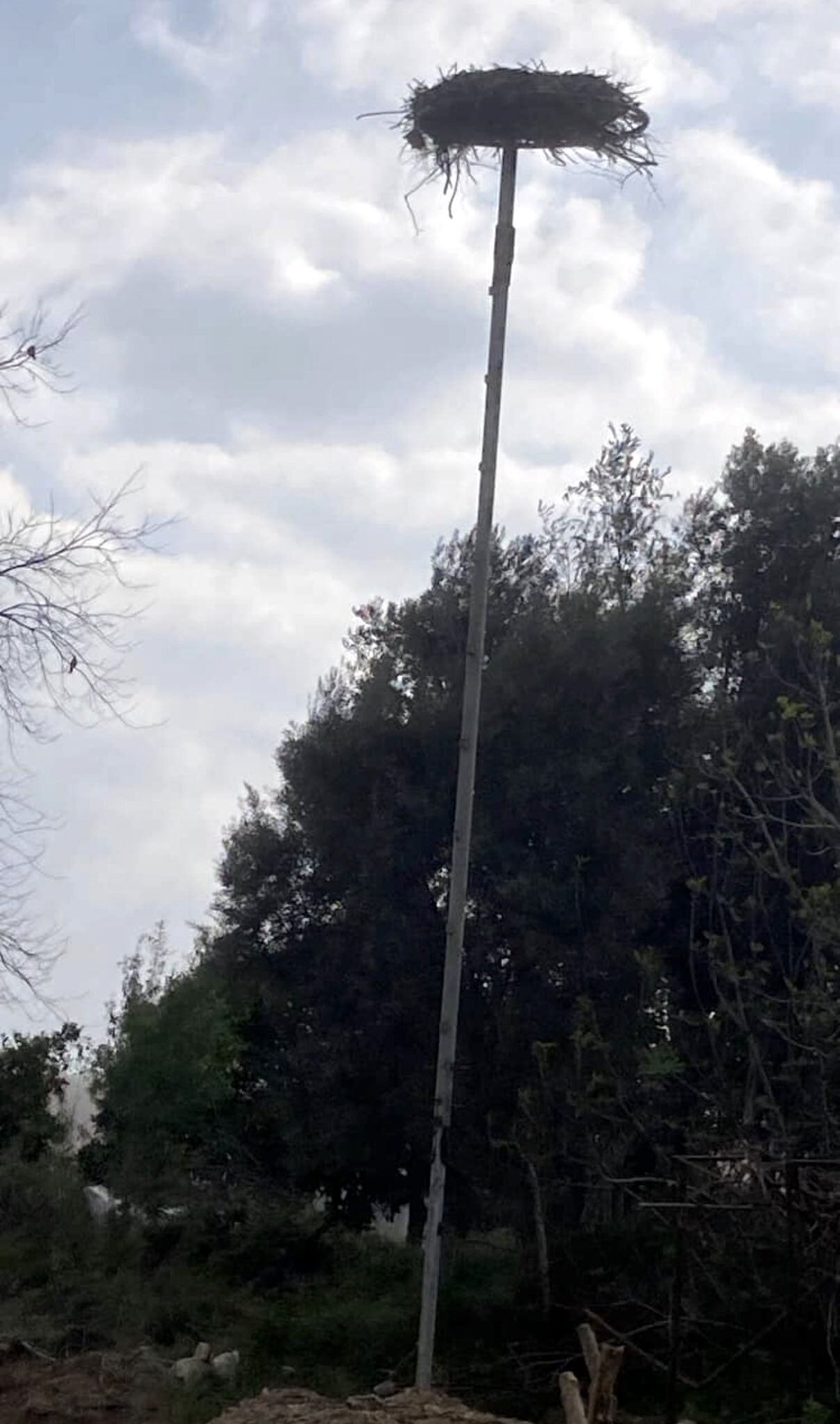 Y A B A N H A Y A T I G O Z L E M C I S I N D E N L E Y L E G I N B O Z 1218207 362258