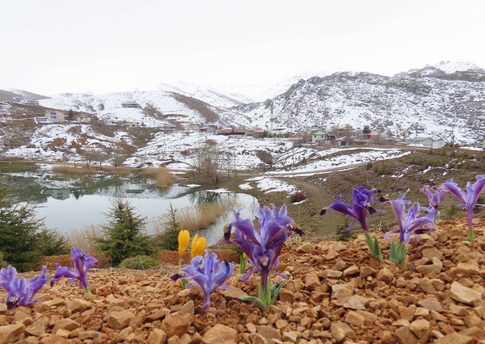 Y A Y L A L A R D A K A R L A R E R I M E Y E B A S L A D I B A H A 1220178 362846