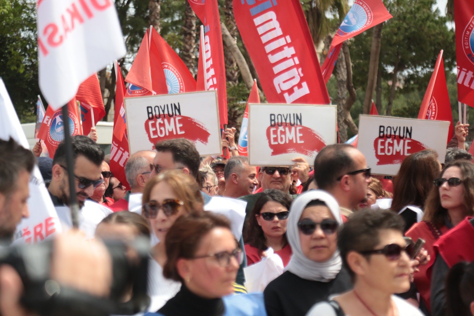 75Be945A 7156 445B Bb1F 4E076D740F9E