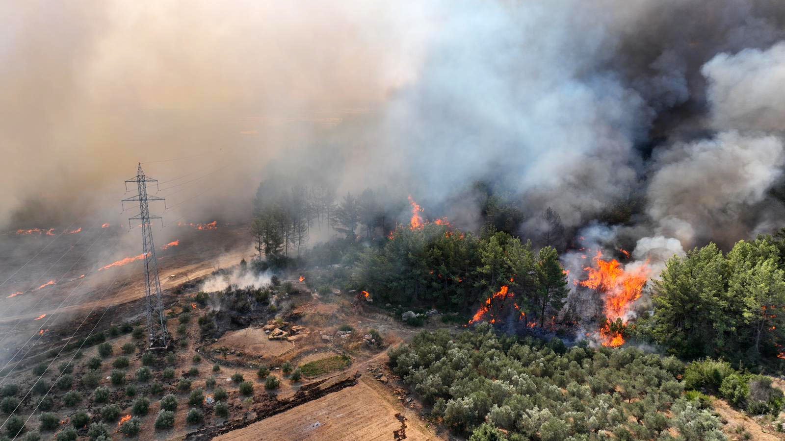 A N T A L Y A D A O R M A N Y A N G I N L A R I N I O N L E M E P L A 1283568 381884