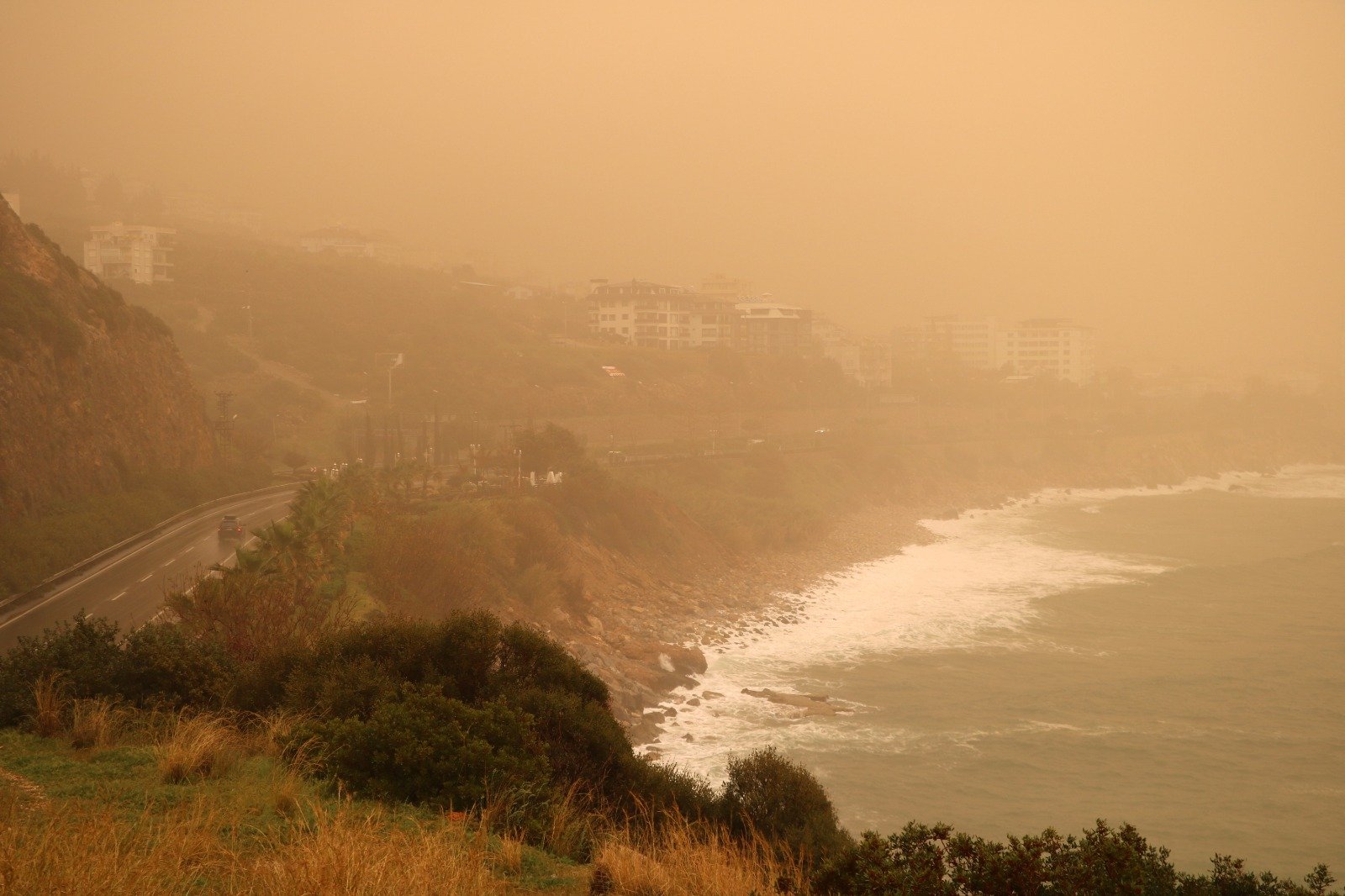 A N T A L Y A Y I C O L T O Z U B U L U T U K A P L A D I E K 1242790 369751