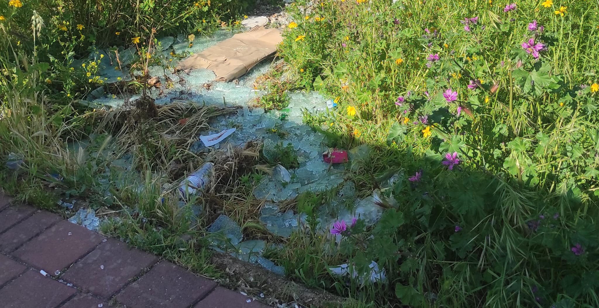 A3818D07 7E8A 4644 9B06 2Aaf68D2Cdad