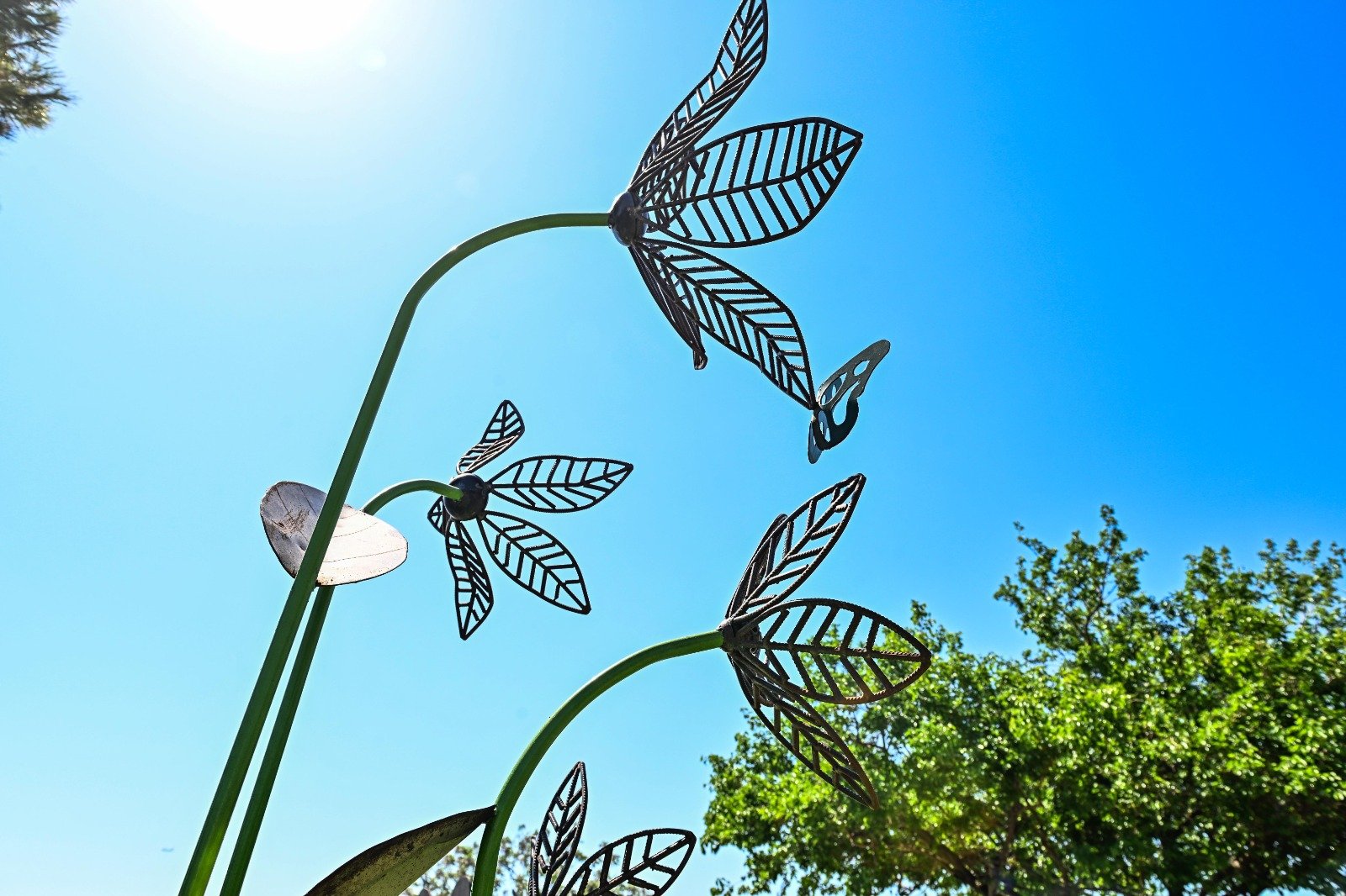 B A H A R C I C E K D E S E N L E R I G U N L E R I’ Y L E K A R S I 1284454 382178