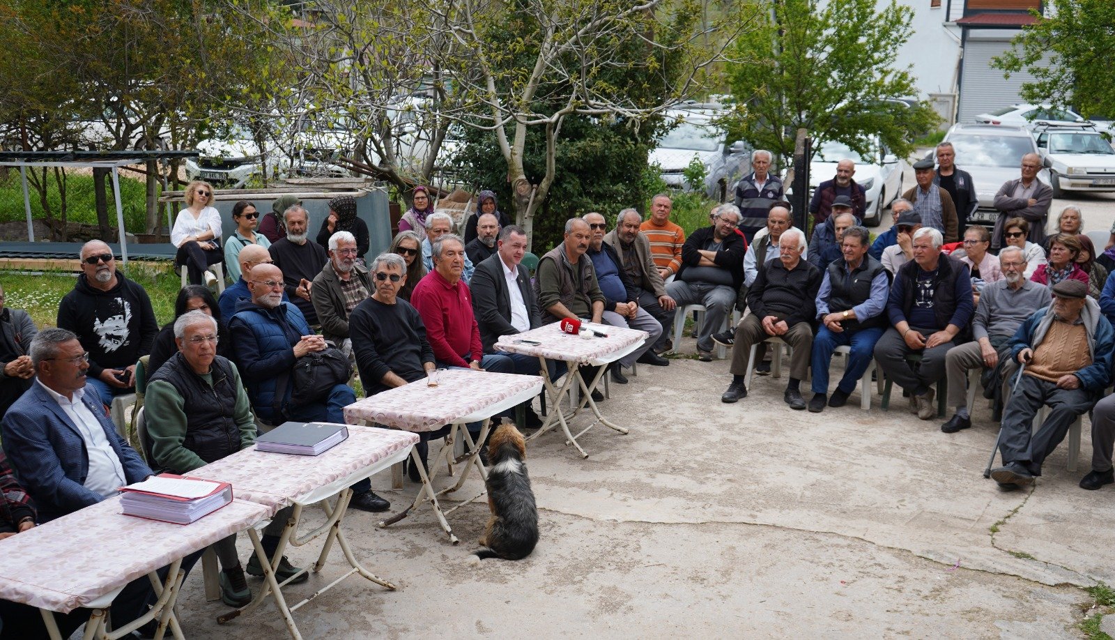 B A Y A T B A D E M L E R I’ N D E I M A R T A R T I S M A S I 1278037 380342