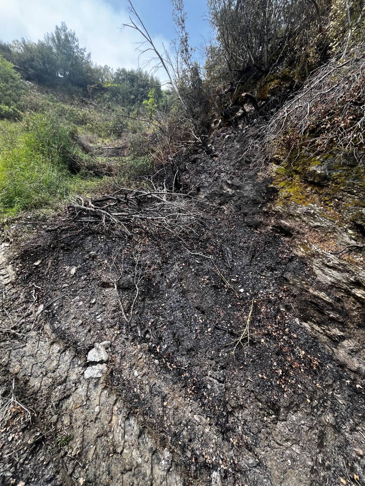 M A K I L I K Y A N G I N I B U Y U M E D E N S O N D U R U L D U 1260332 375044