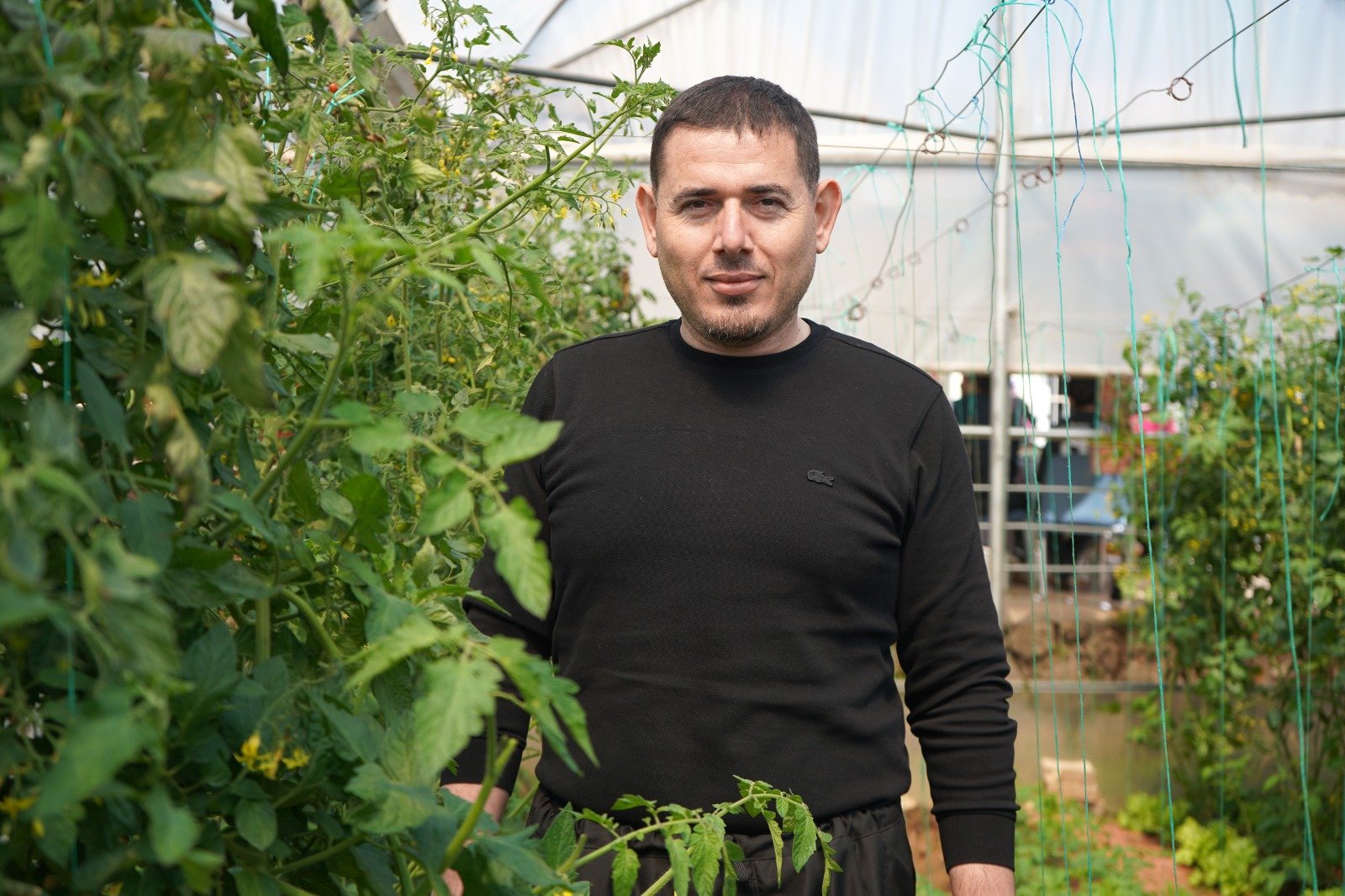 P S I K I Y A T R I H A S T A L A R I H E M T E D A V I G O R U Y O R 1246685 370884