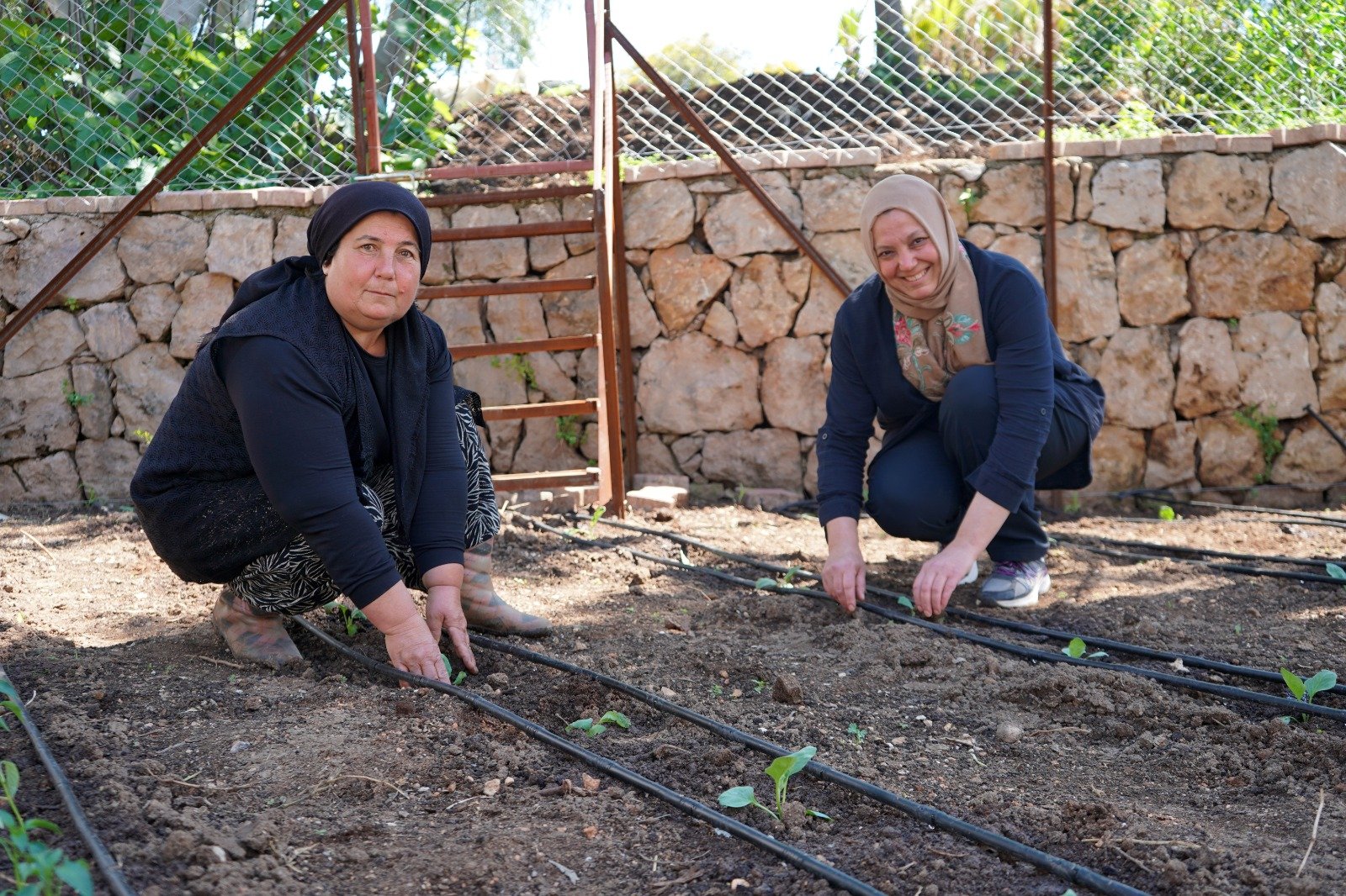 P S I K I Y A T R I H A S T A L A R I H E M T E D A V I G O R U Y O R 1246689 370884