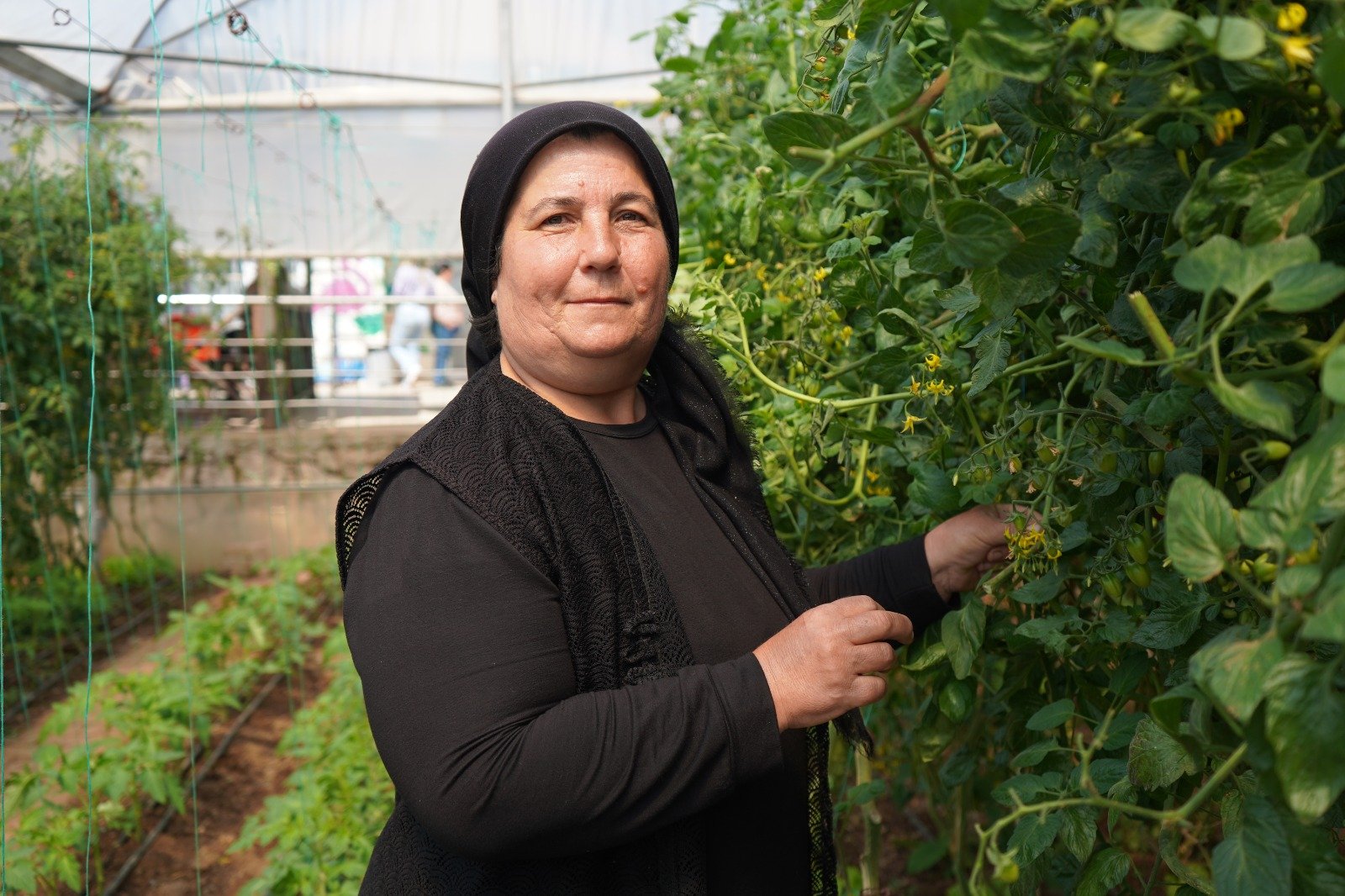 P S I K I Y A T R I H A S T A L A R I H E M T E D A V I G O R U Y O R 1246692 370884