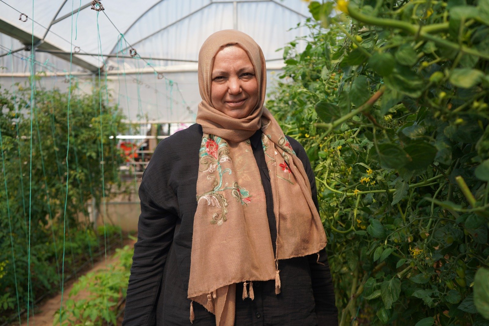 P S I K I Y A T R I H A S T A L A R I H E M T E D A V I G O R U Y O R 1246693 370884