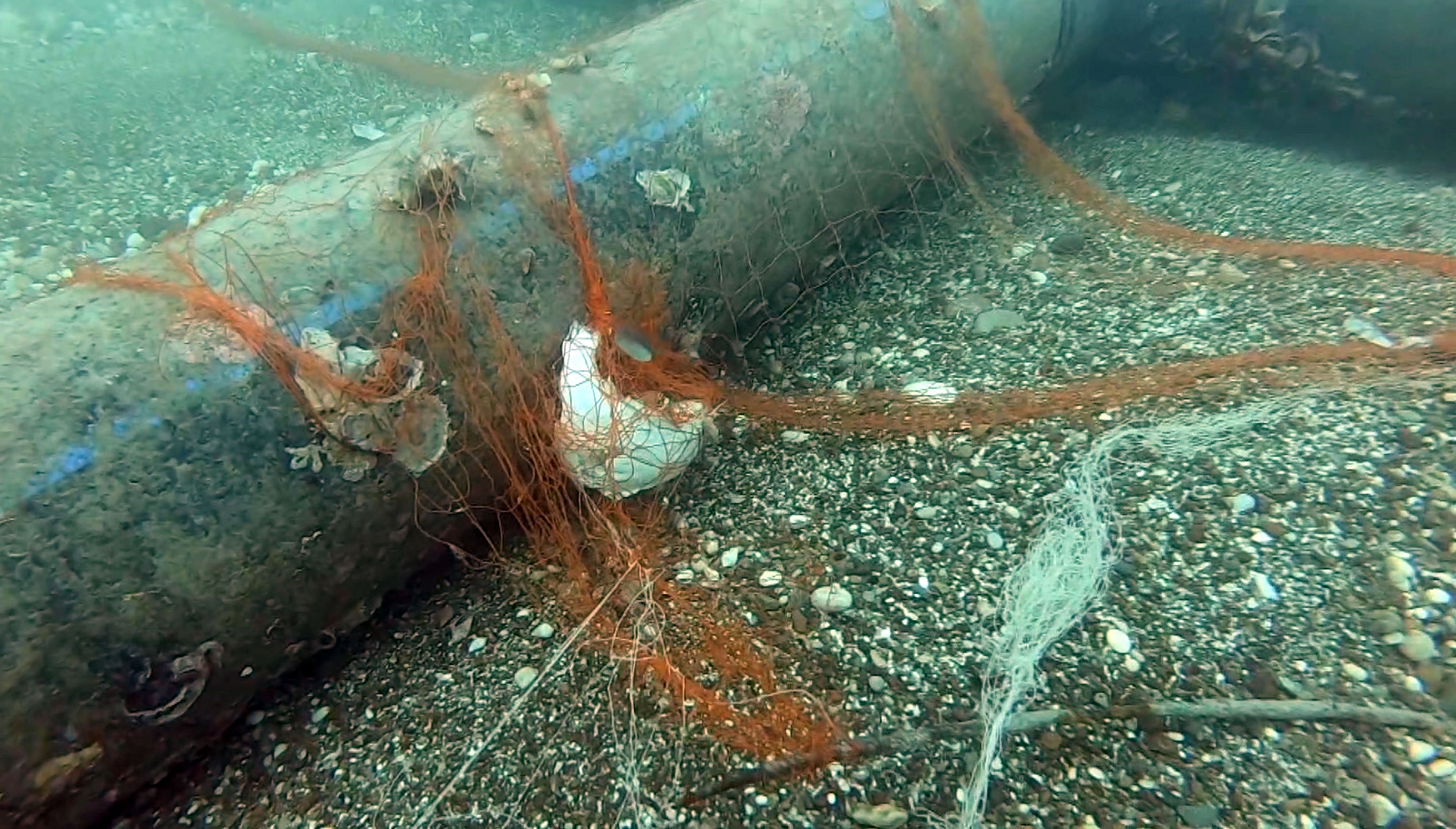 T E M I Z L E N E N H A Y A L E T A G L A R I L E 15 M I L Y O 1278768 380545