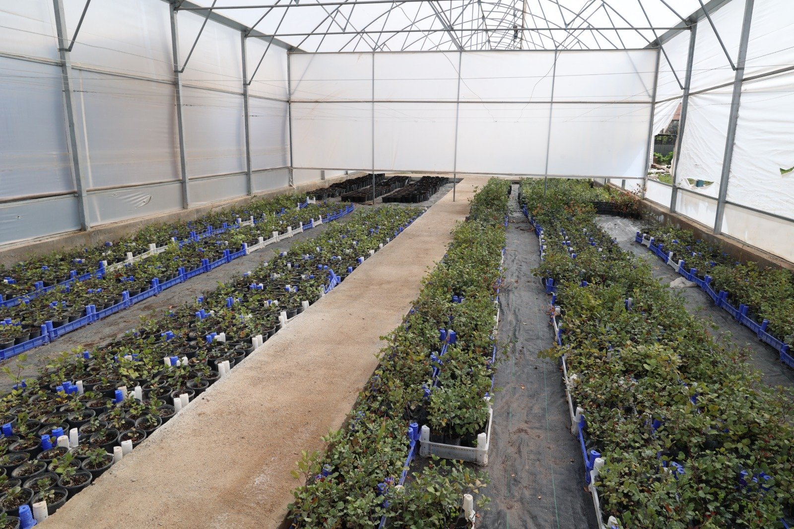 U R E T I C I Y E 5 B I N K E C I B O Y N U Z U F I D A N I D A G I T 1247325 371082