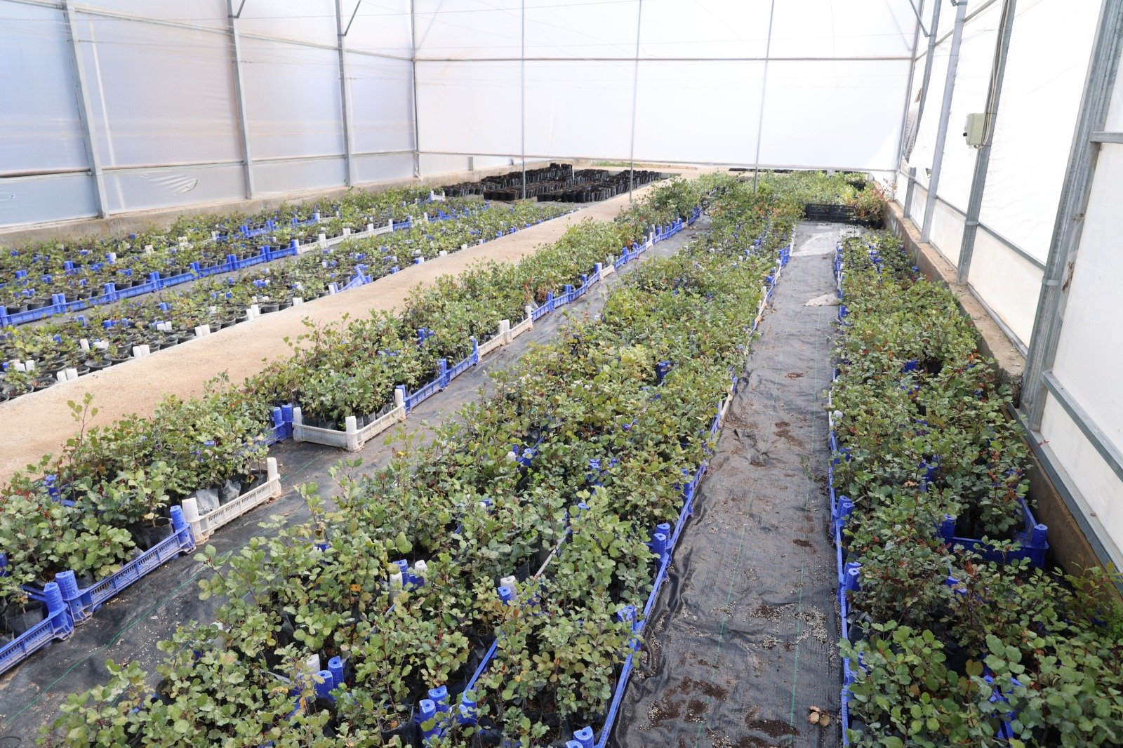 U R E T I C I Y E 5 B I N K E C I B O Y N U Z U F I D A N I D A G I T 1247326 371082