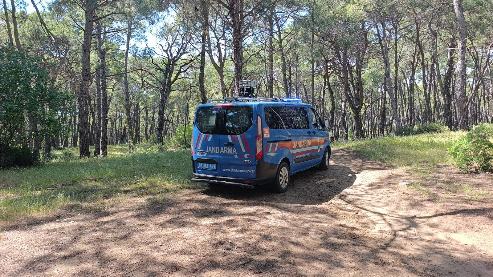 A W699203 04