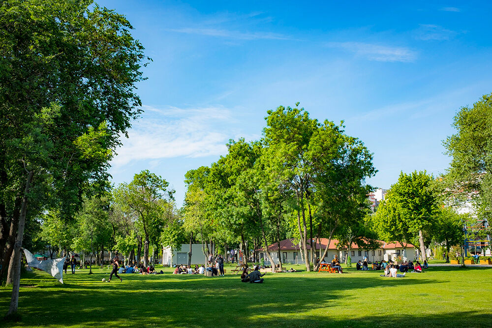 Bilgi Üniversitesi öğrenci