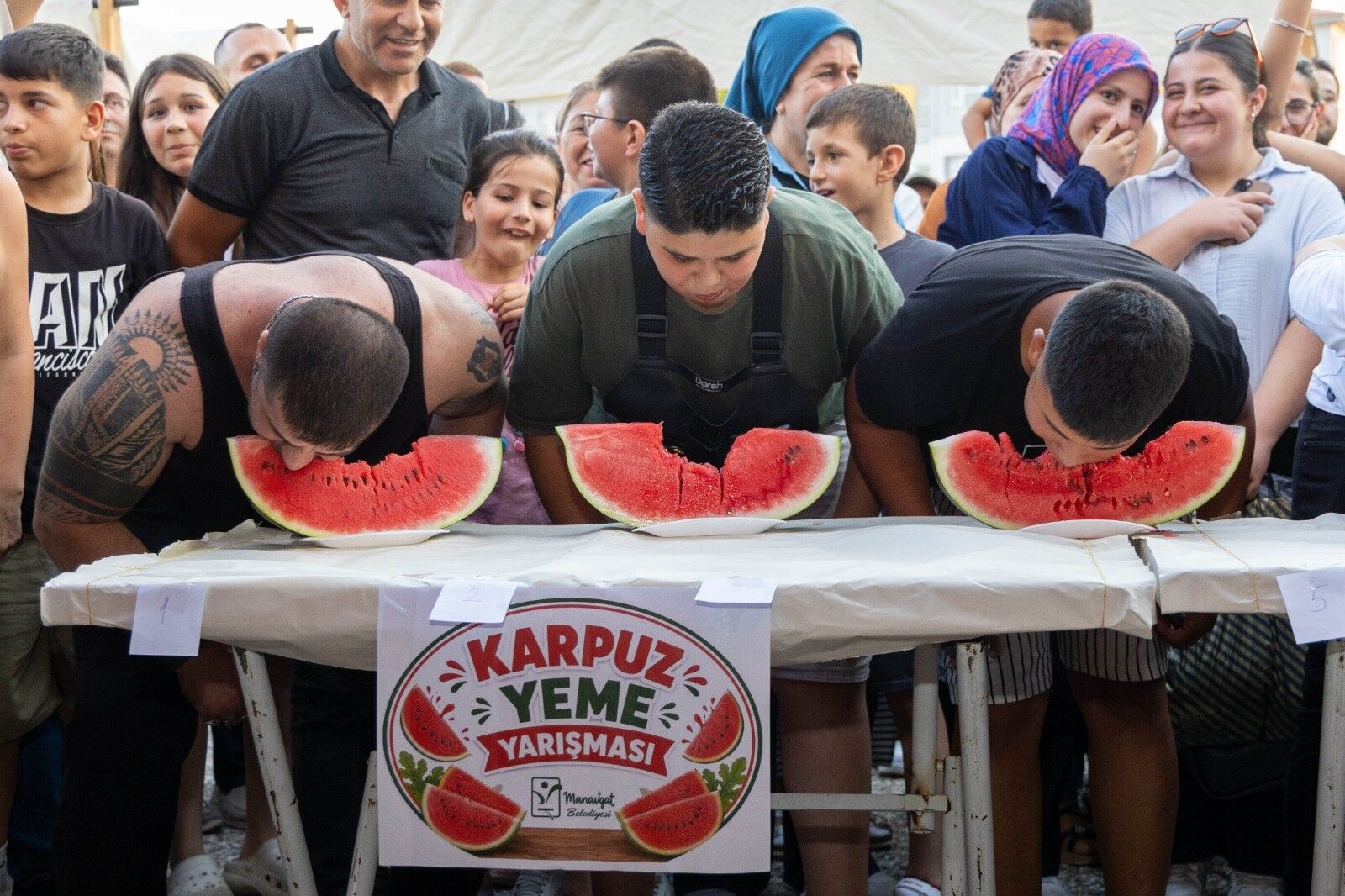 A W733275 01