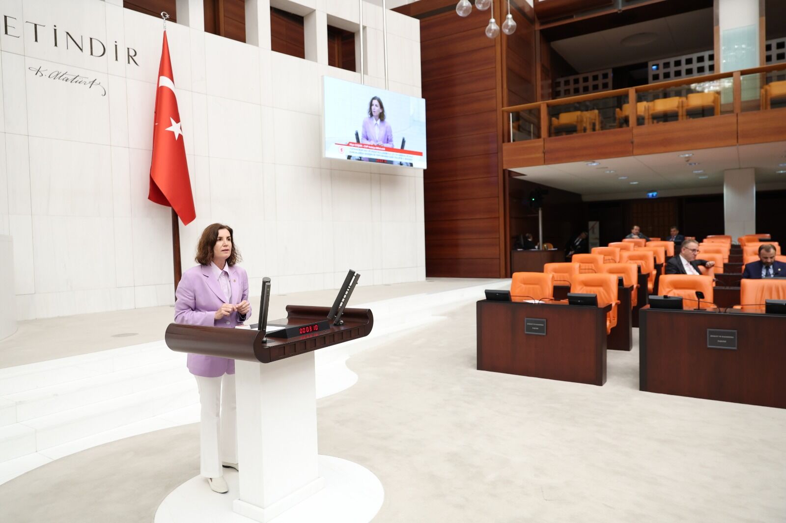 Aliye Coşar Foto (2)