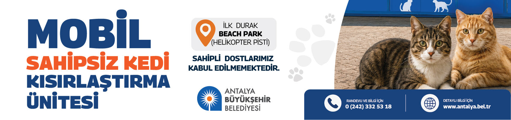 Kedi Banner 1280X300-1