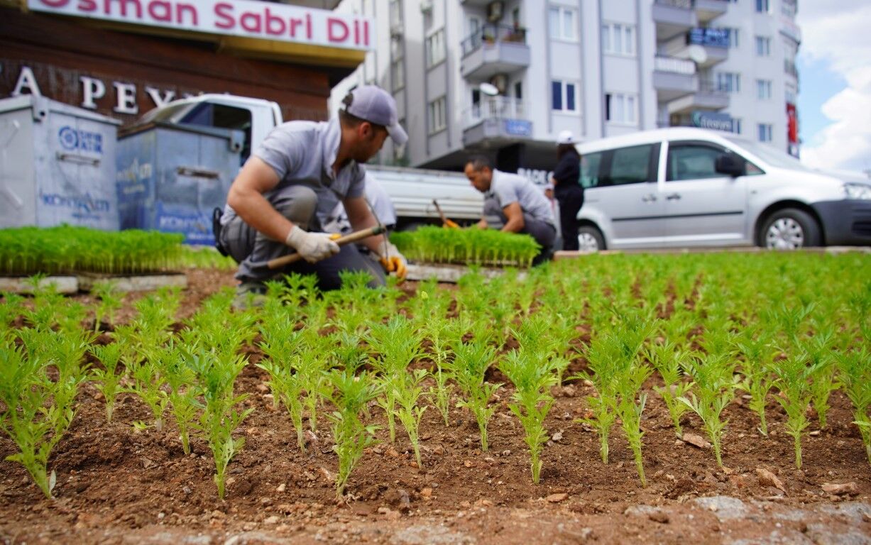 Konyaalti Beledi̇yesi̇ Üreti̇yor Cadde Ve Sokaklar Güzelleşi̇yor (2)
