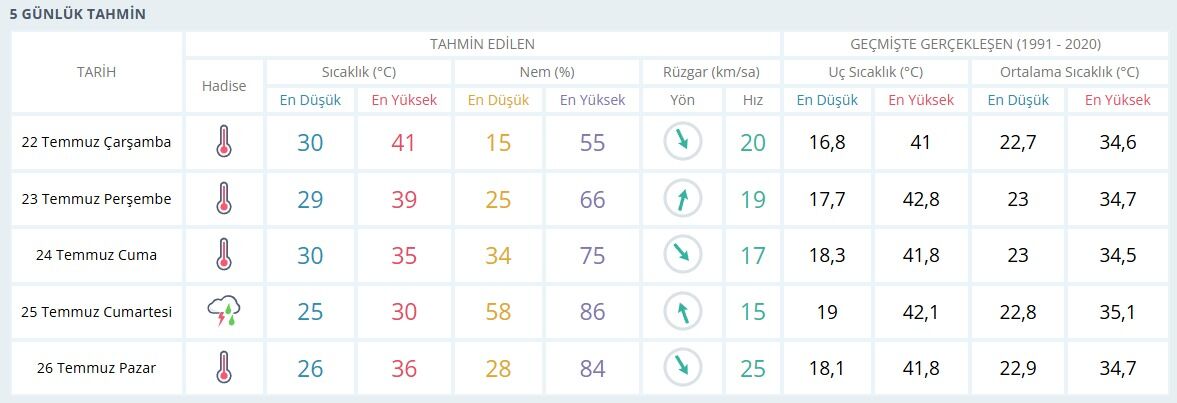 Image (11)