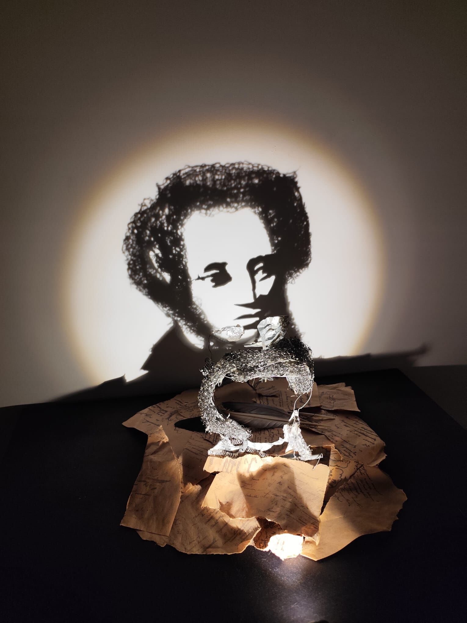 Shadow Museum (4)