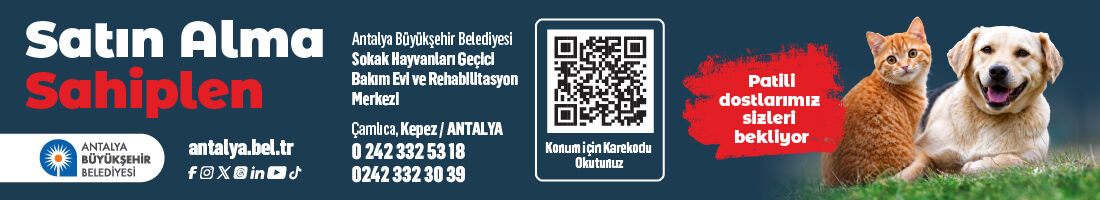 Sokak Hayvanlari Satinalma Sahiplen Web Bannerlar 11-1
